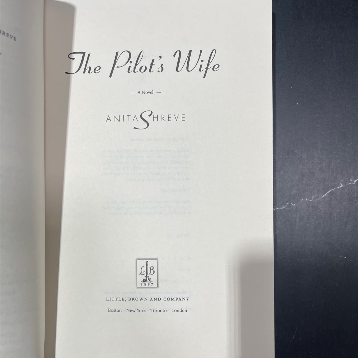 the pilot's wife book, by anita shreve, 1998 Paperback image 2