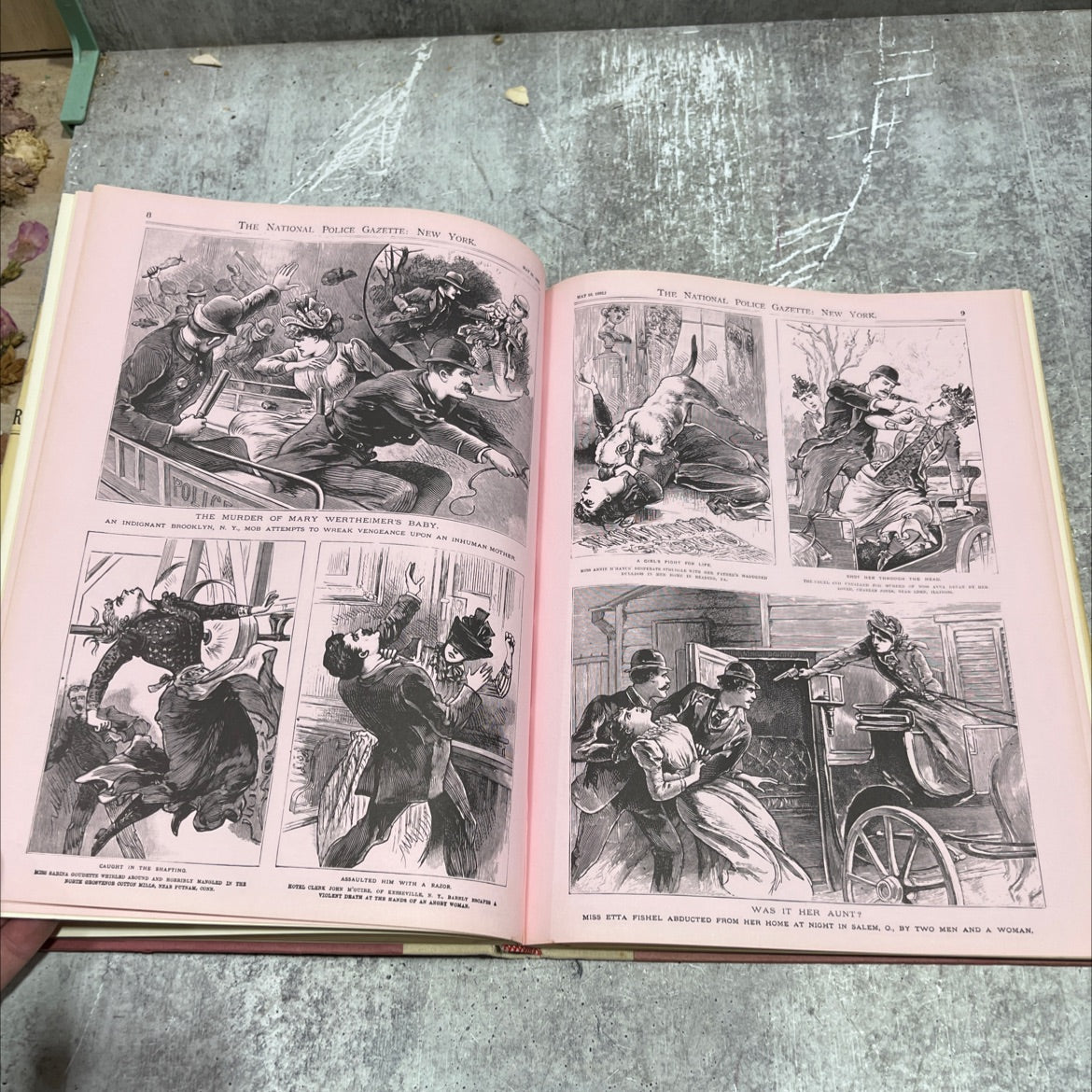 the police gazette book, by Gene Smith, Jayne Barry Smith, 1972 Hardcover image 4