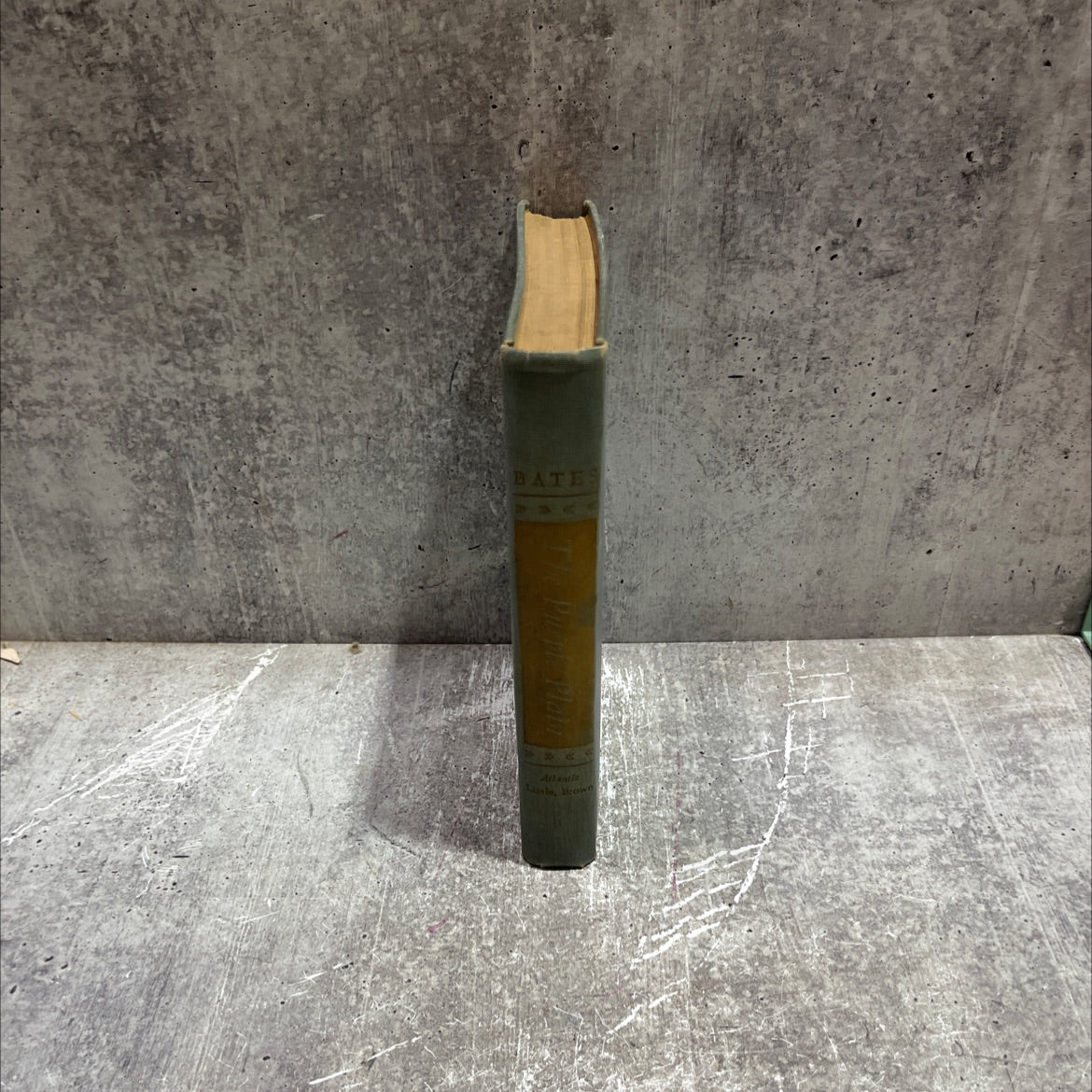 the purple plain book, by H. E. Bates, 1947 Hardcover image 4