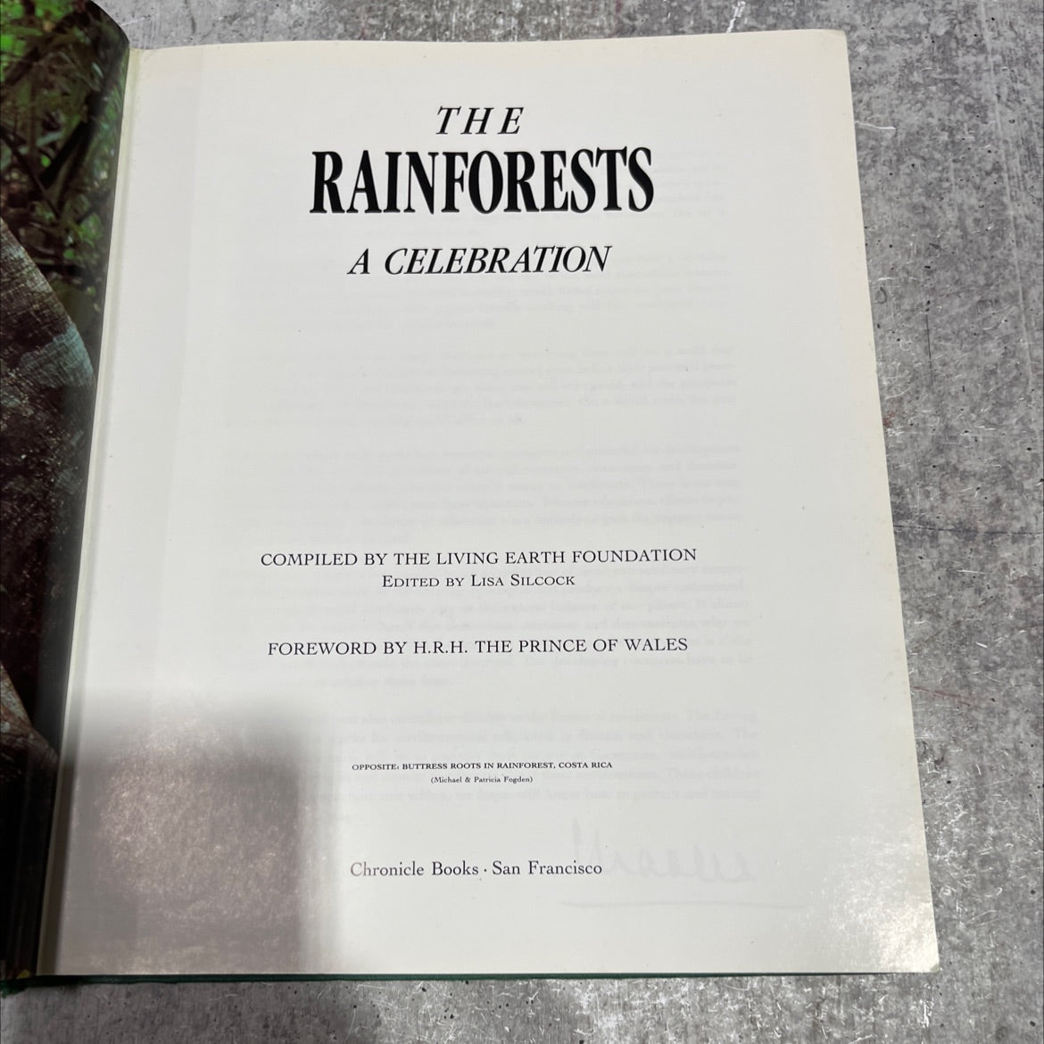 the rainforests a celebration book, by living earth foundation, 1992 Hardcover image 2