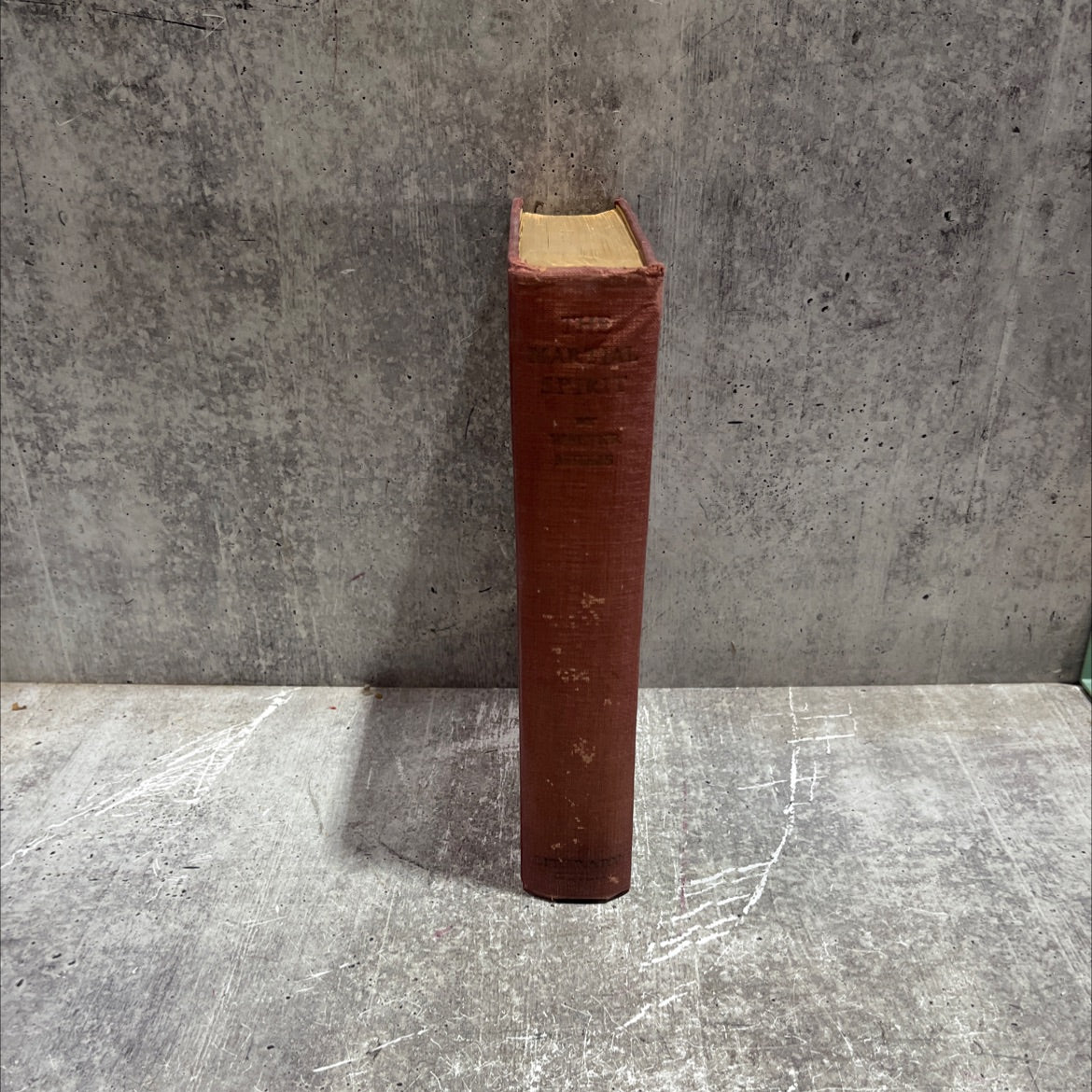 the rough riders book, by walter millis, 1931 Hardcover image 4