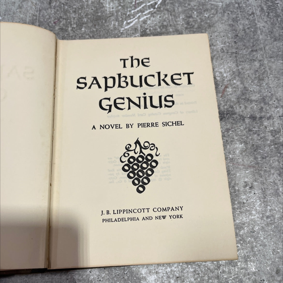 the sapbucket genius book, by pierre sichel, 1960 Hardcover image 2