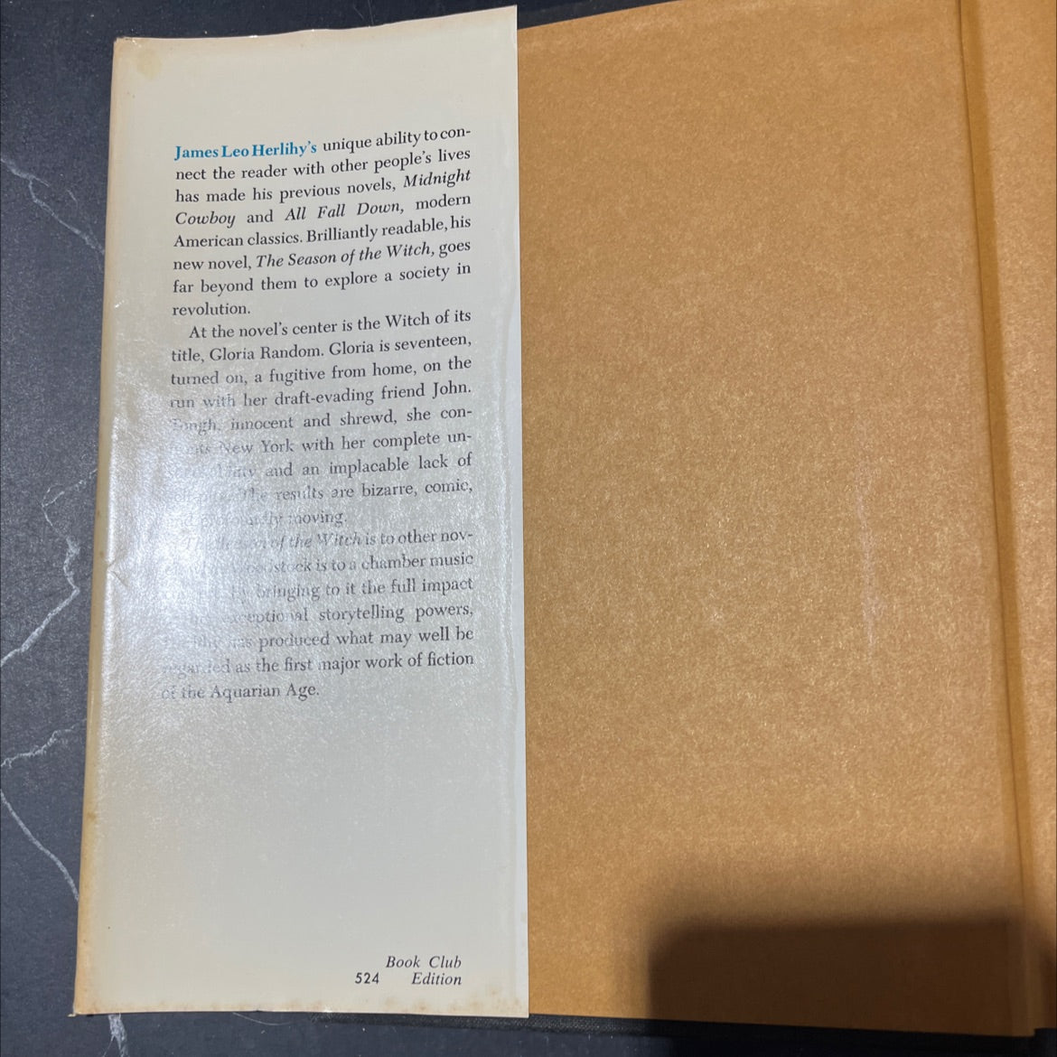 the season of the witch book, by james leo herlihy, 1971 Hardcover image 4
