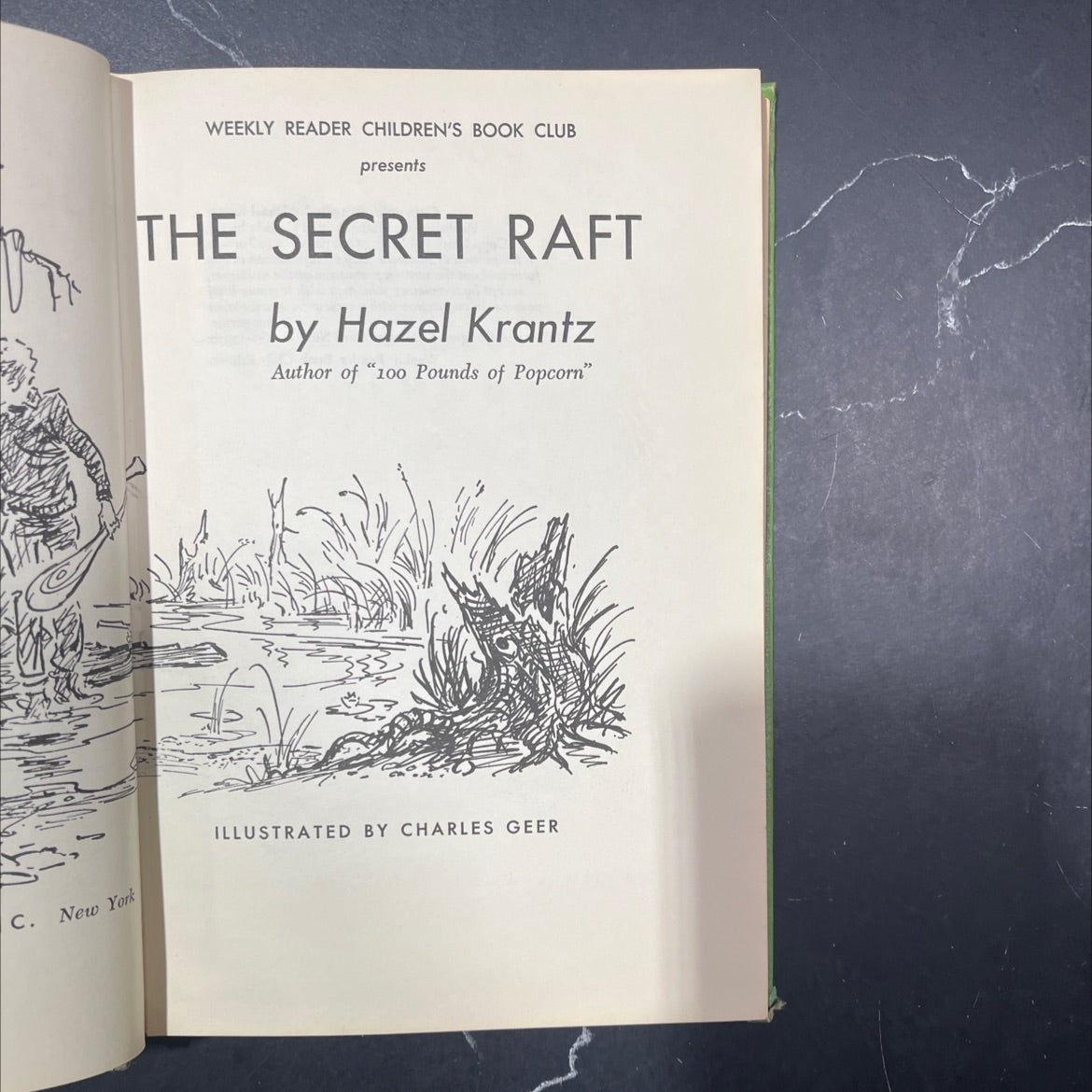 the secret raft book, by Hazel Krantz, 1965 Hardcover image 2