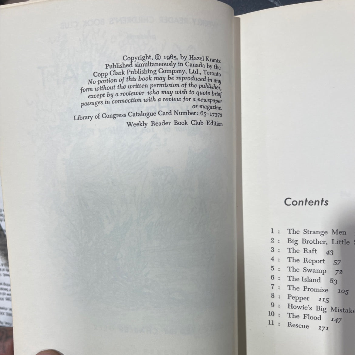 the secret raft book, by Hazel Krantz, 1965 Hardcover image 3