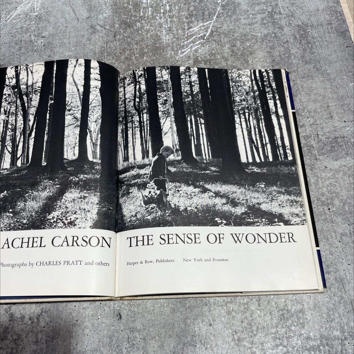 the sense of wonder book, by Rachel L. Carson, 1965 Hardcover image 2