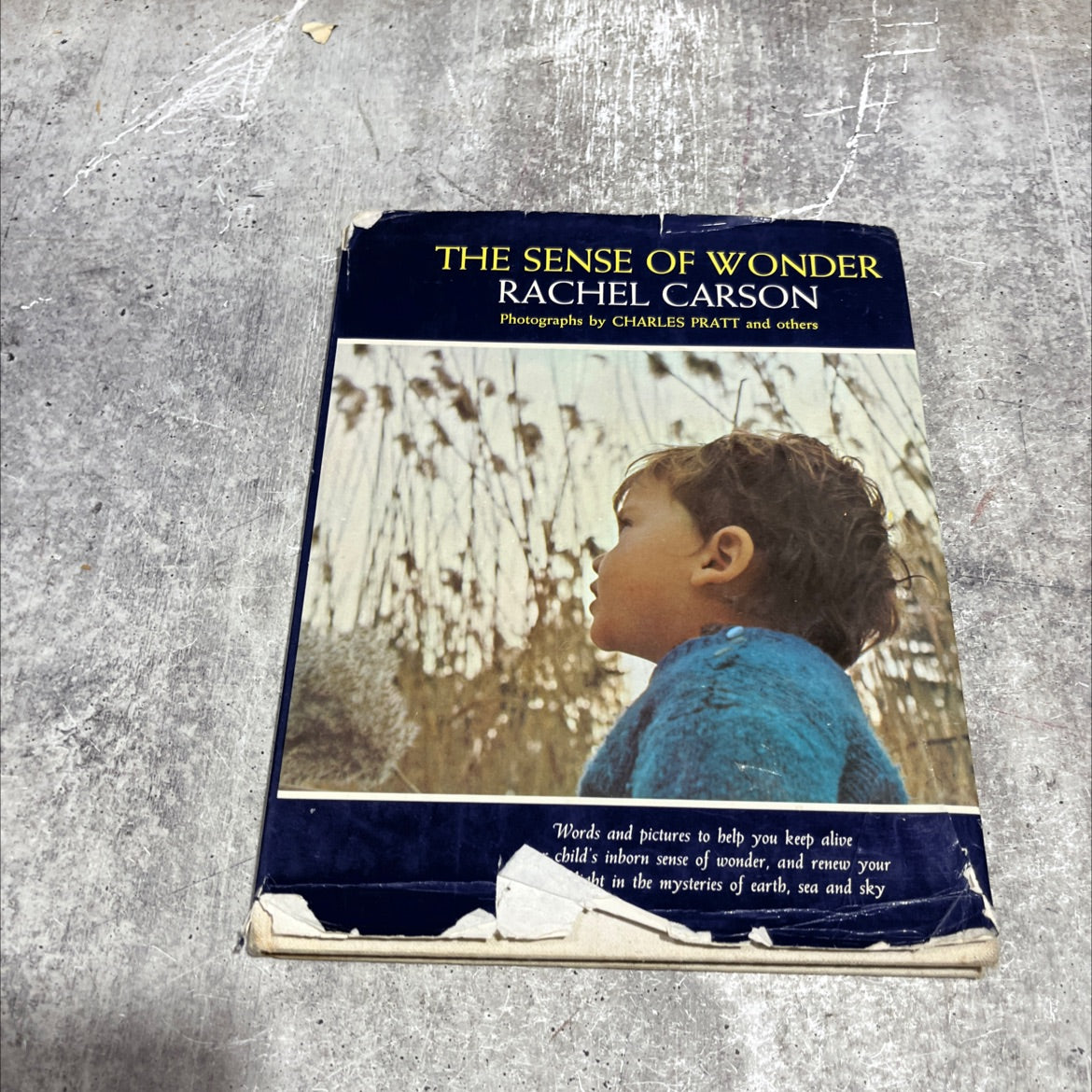 the sense of wonder book, by Rachel L. Carson, 1965 Hardcover image 1