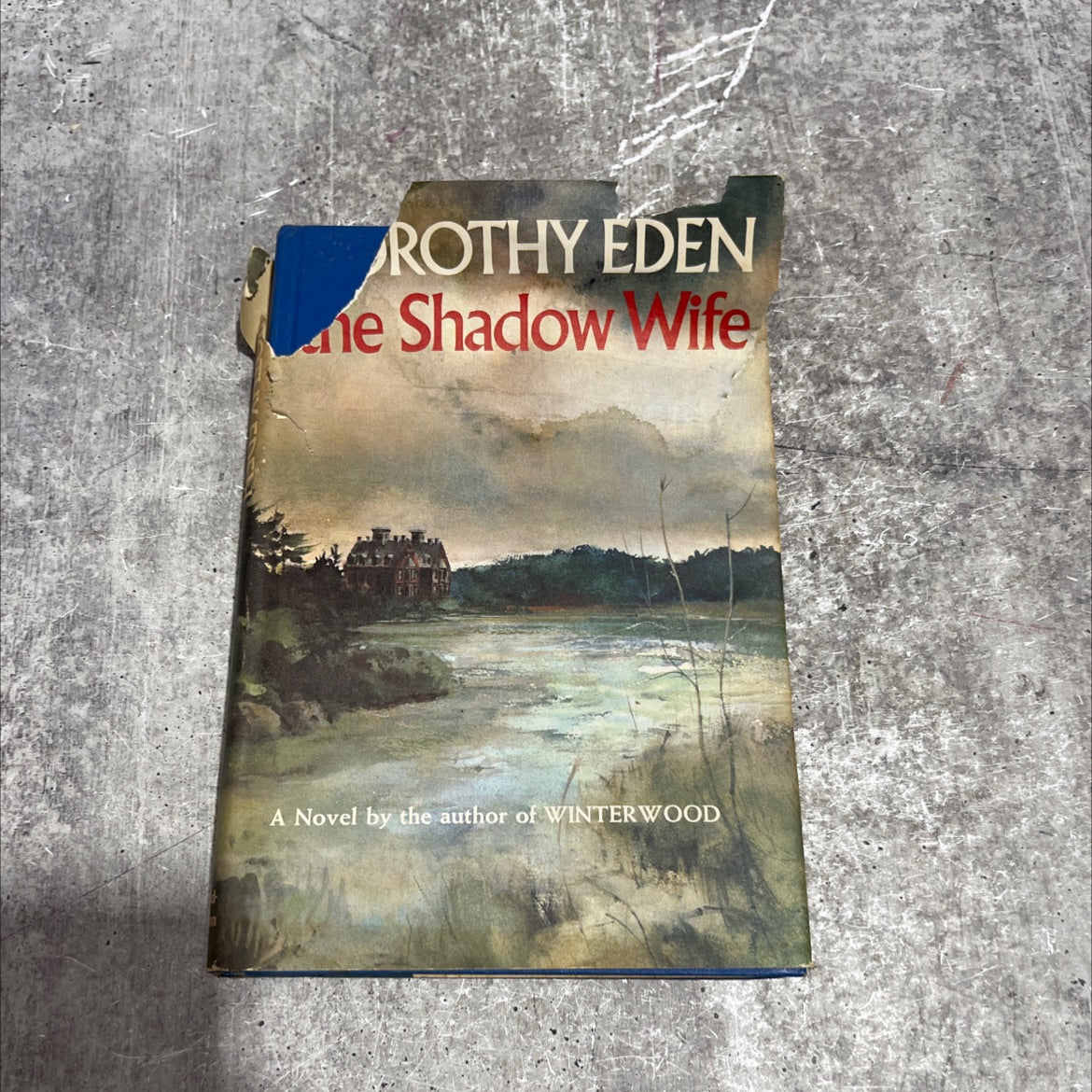 the shadow wife book, by dorothy eden, 1968 Hardcover image 1