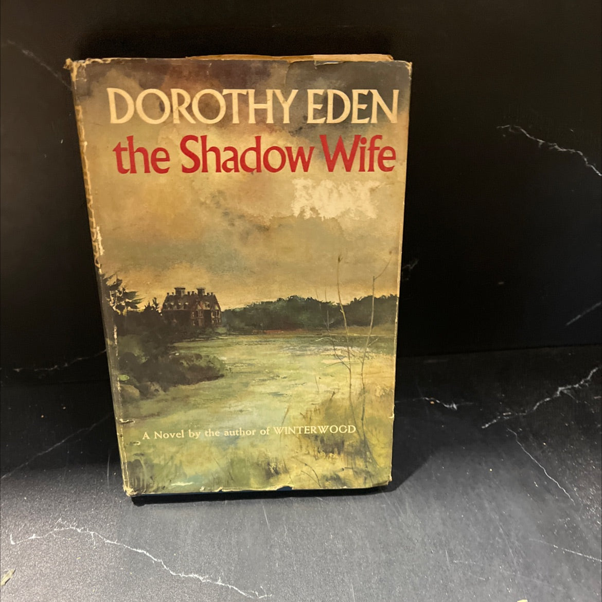 the shadow wife book, by dorothy eden, 1968 Hardcover image 1