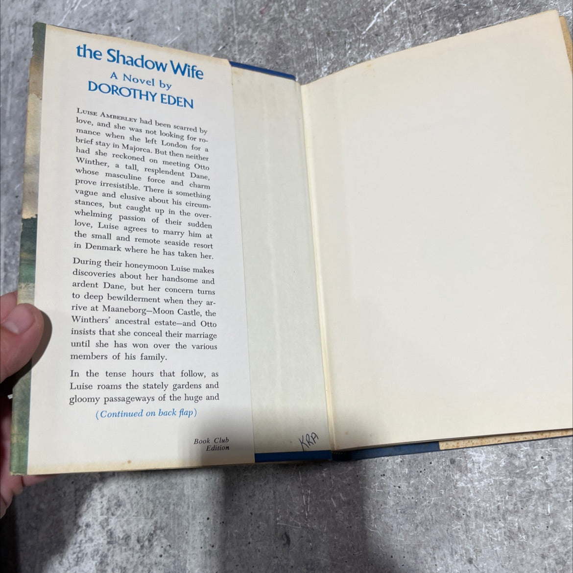the shadow wife book, by dorothy eden, 1968 Hardcover image 4