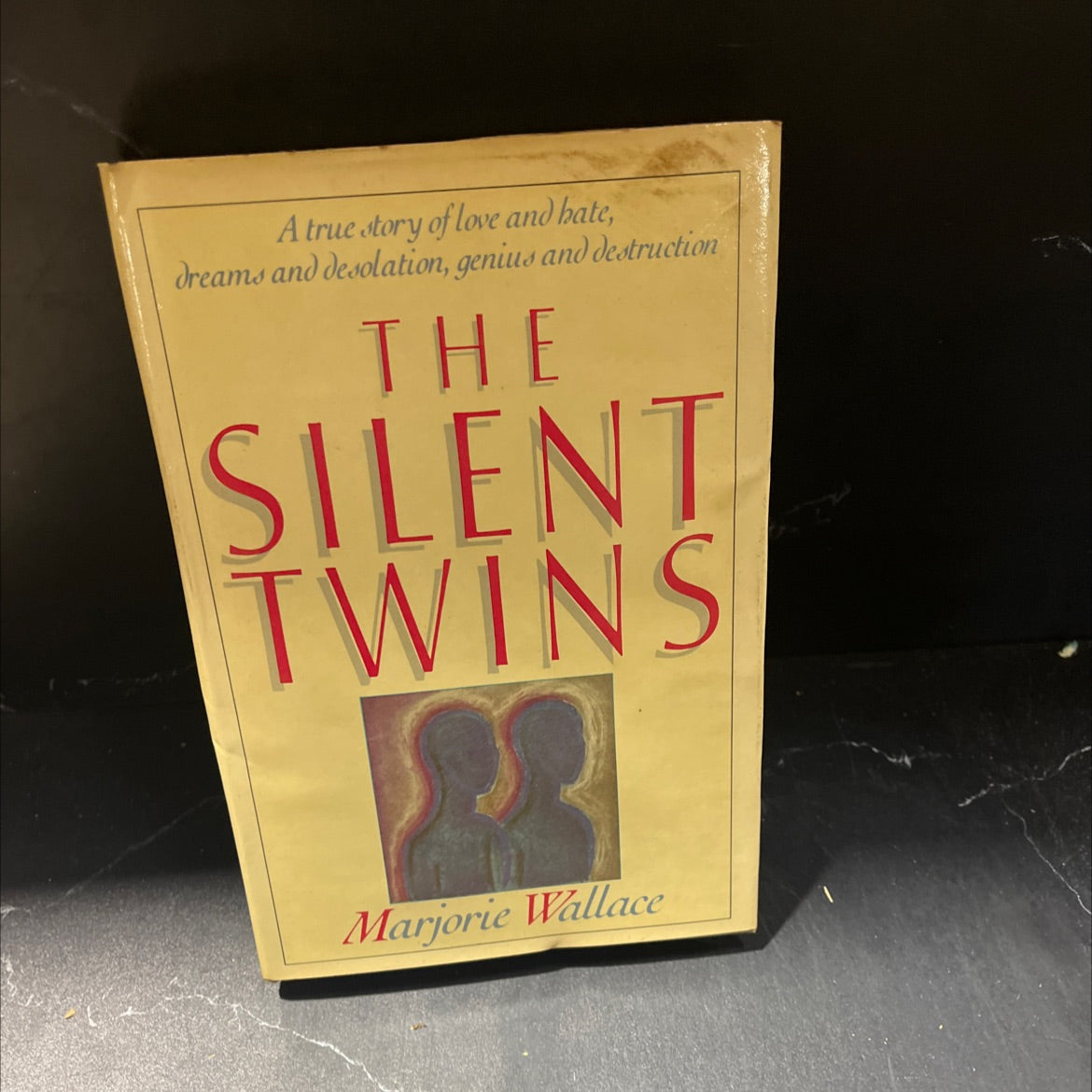 the silent twins book, by Marjorie Wallace, 1986 Hardcover image 1