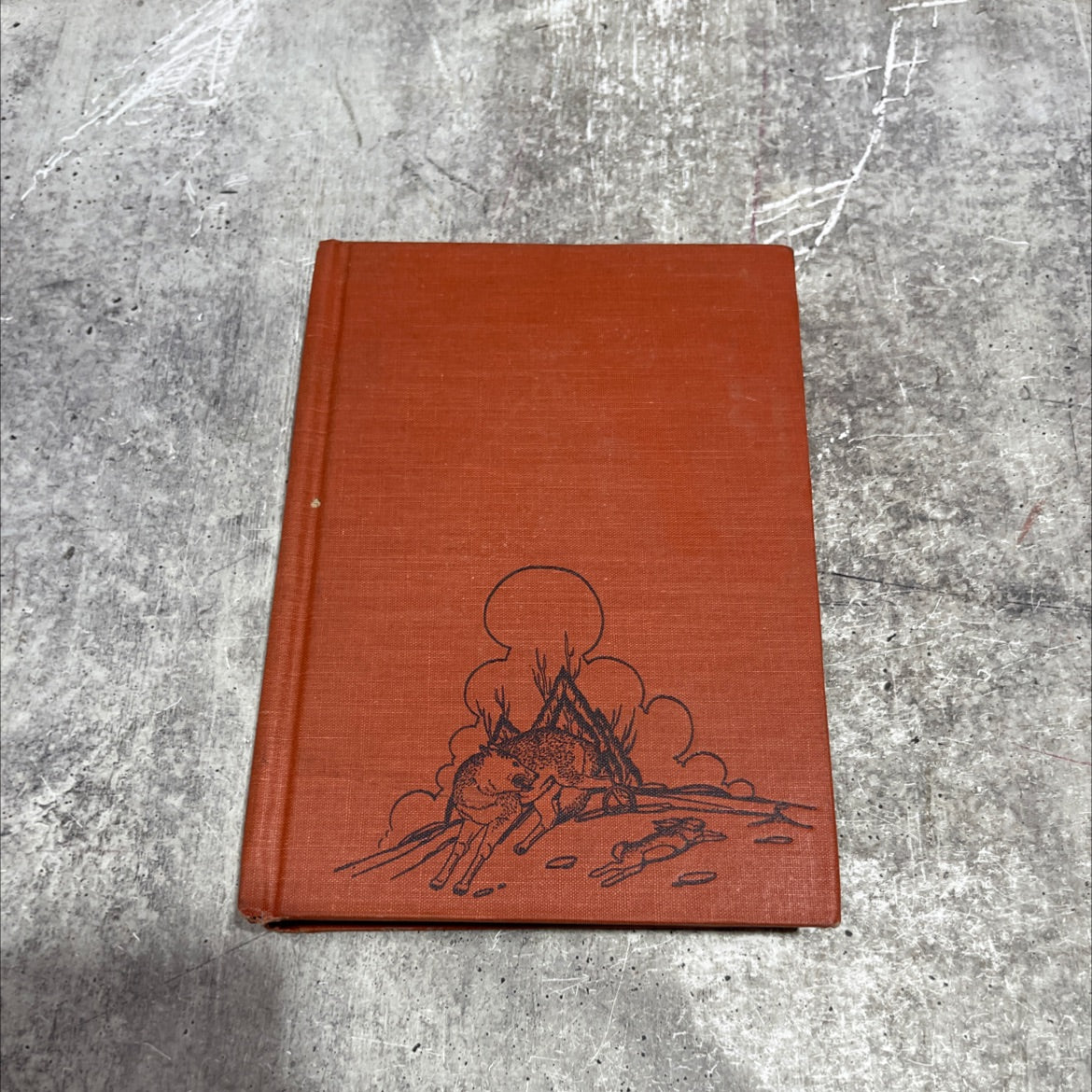 the smoke hole book, by charles g. newcomb, 1968 Hardcover image 1