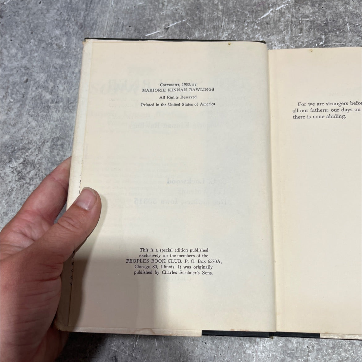 the sojourner book, by Marjorie Kinnan Rawlings, 1953 Hardcover image 3