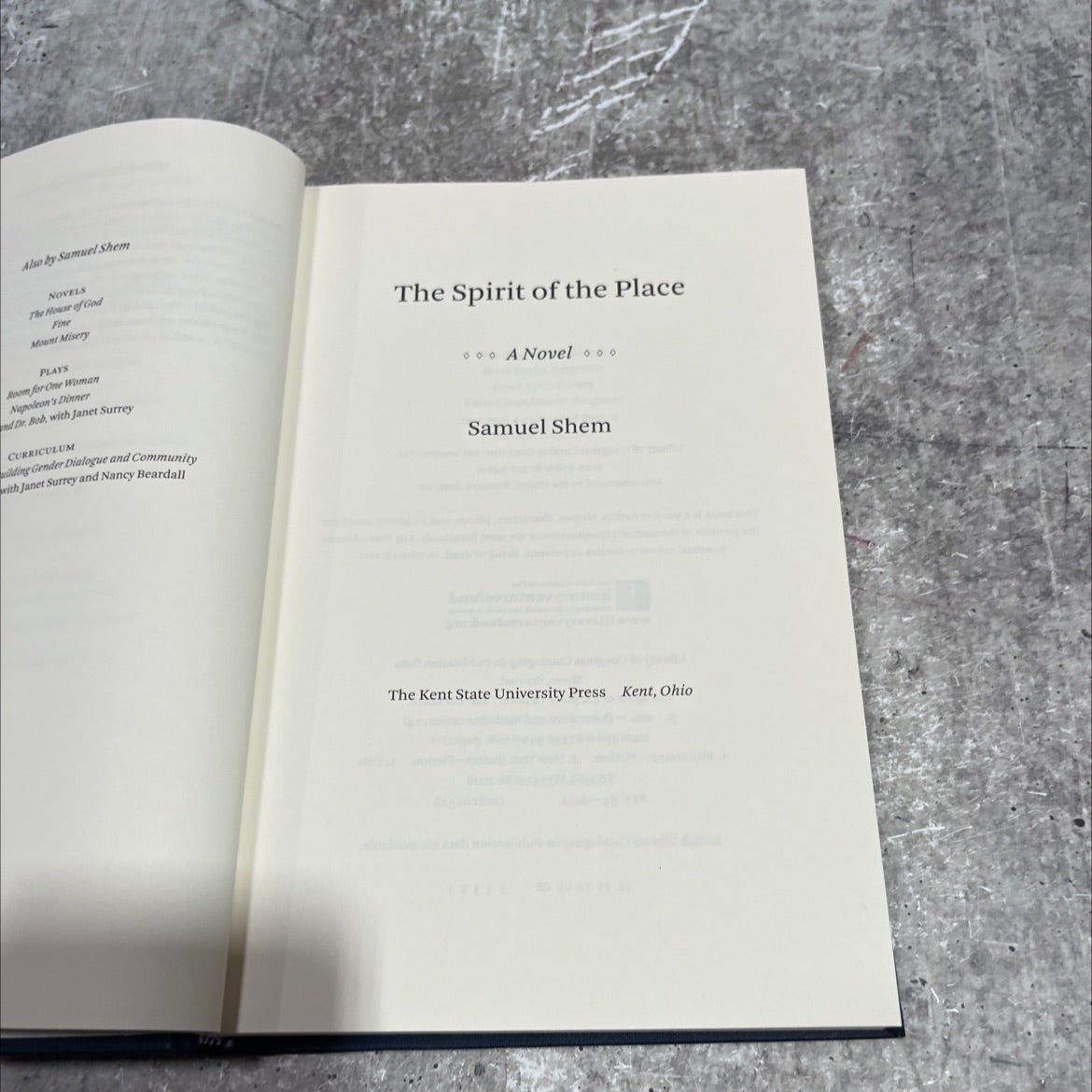 the spirit of the place book, by Samuel Shem, 2008 Hardcover image 2