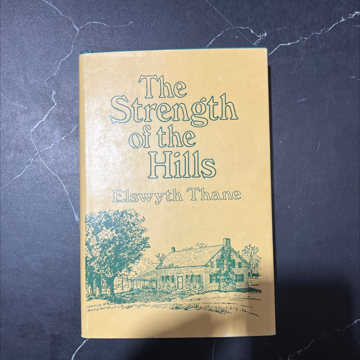 the strength of the hills book, by elswyth thane, 1976 Hardcover image 1