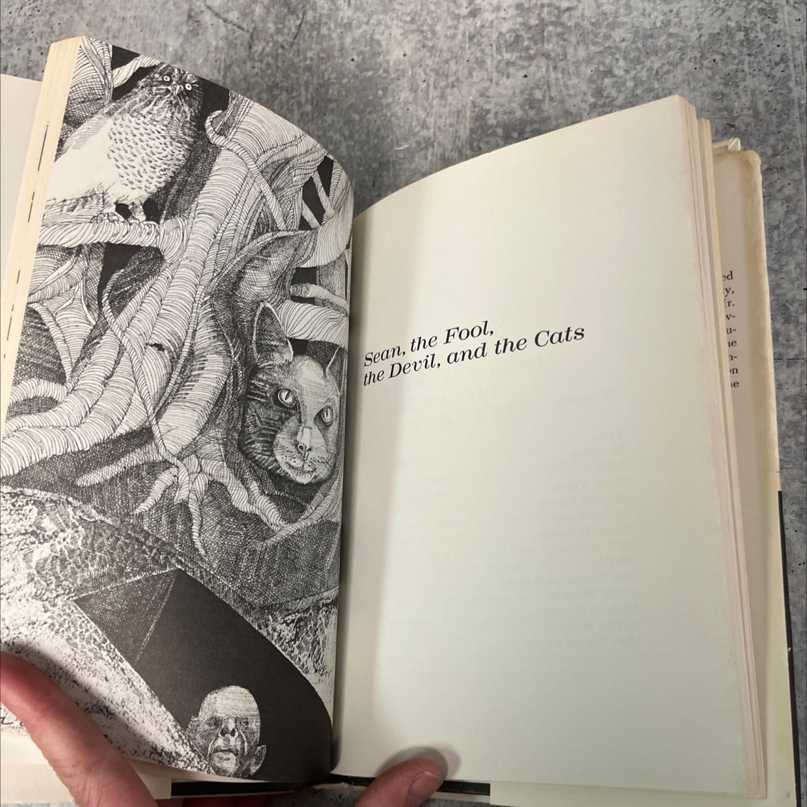 the tiger's bones and other plays for children book, by Ted Hughes, 1974 Hardcover image 4