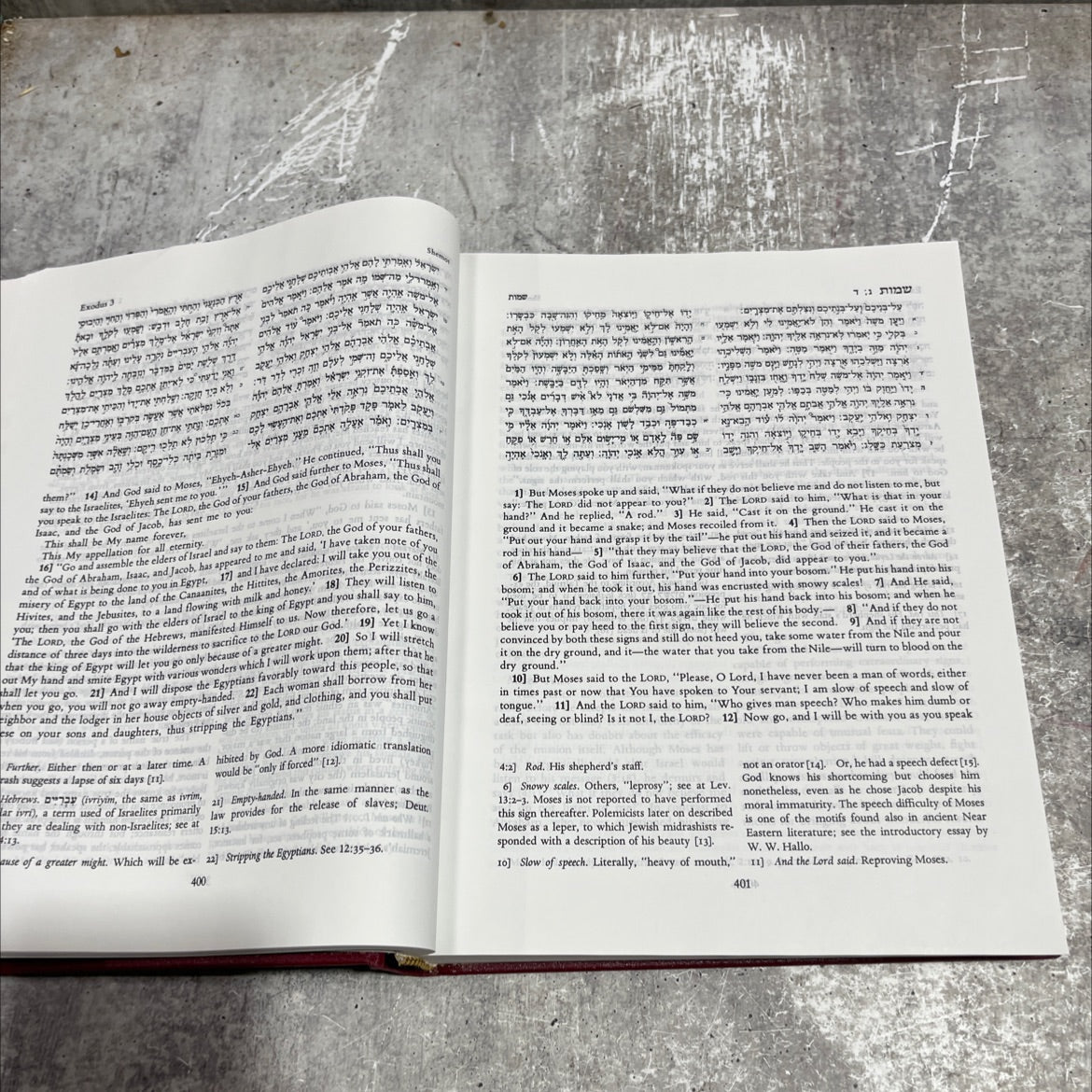 the torah book, by morton roberts, 1821 Hardcover image 3