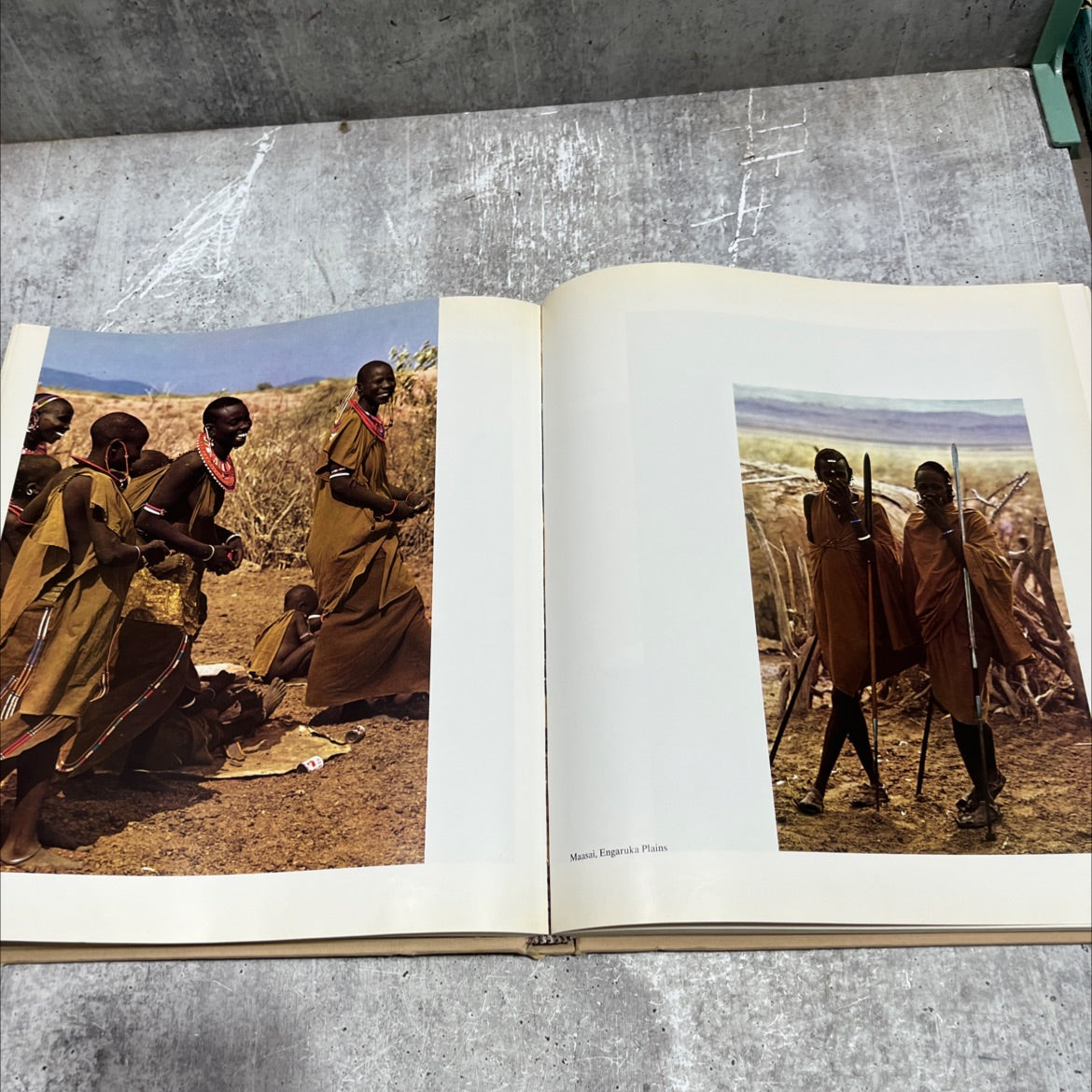 the tree where man was born book, by peter matthiessen, 1972 Hardcover image 4