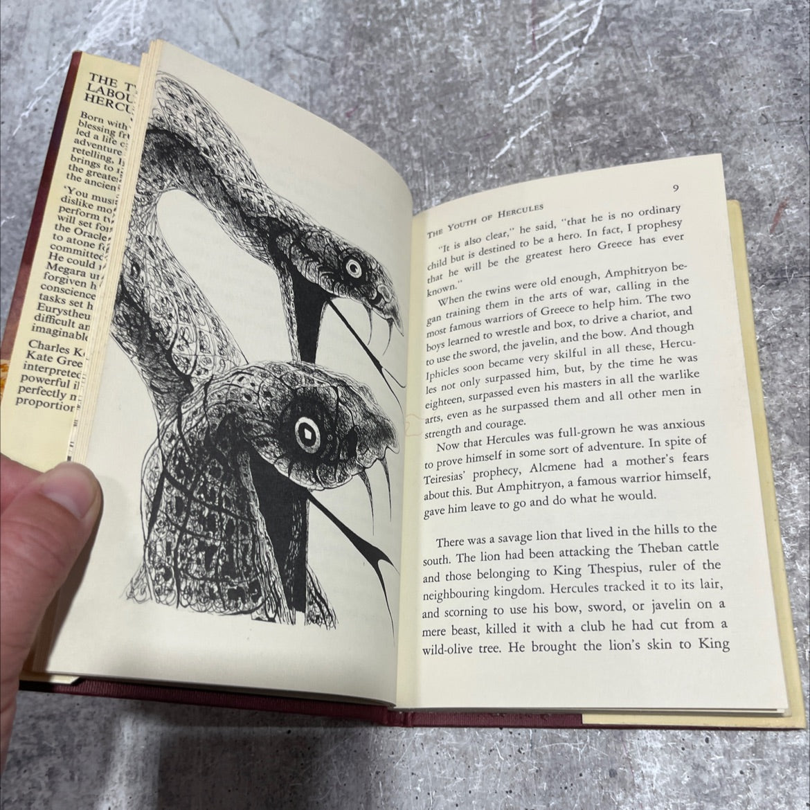 the twelve labours of hercules book, by robert newman, 1972 Hardcover image 4