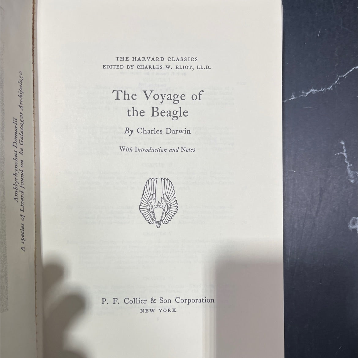 the voyage of the beagle book, by charles darwin, 1937 Hardcover image 2
