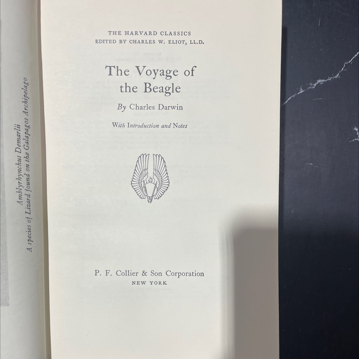 the voyage of the beagle book, by charles darwin, 1937 Hardcover image 2