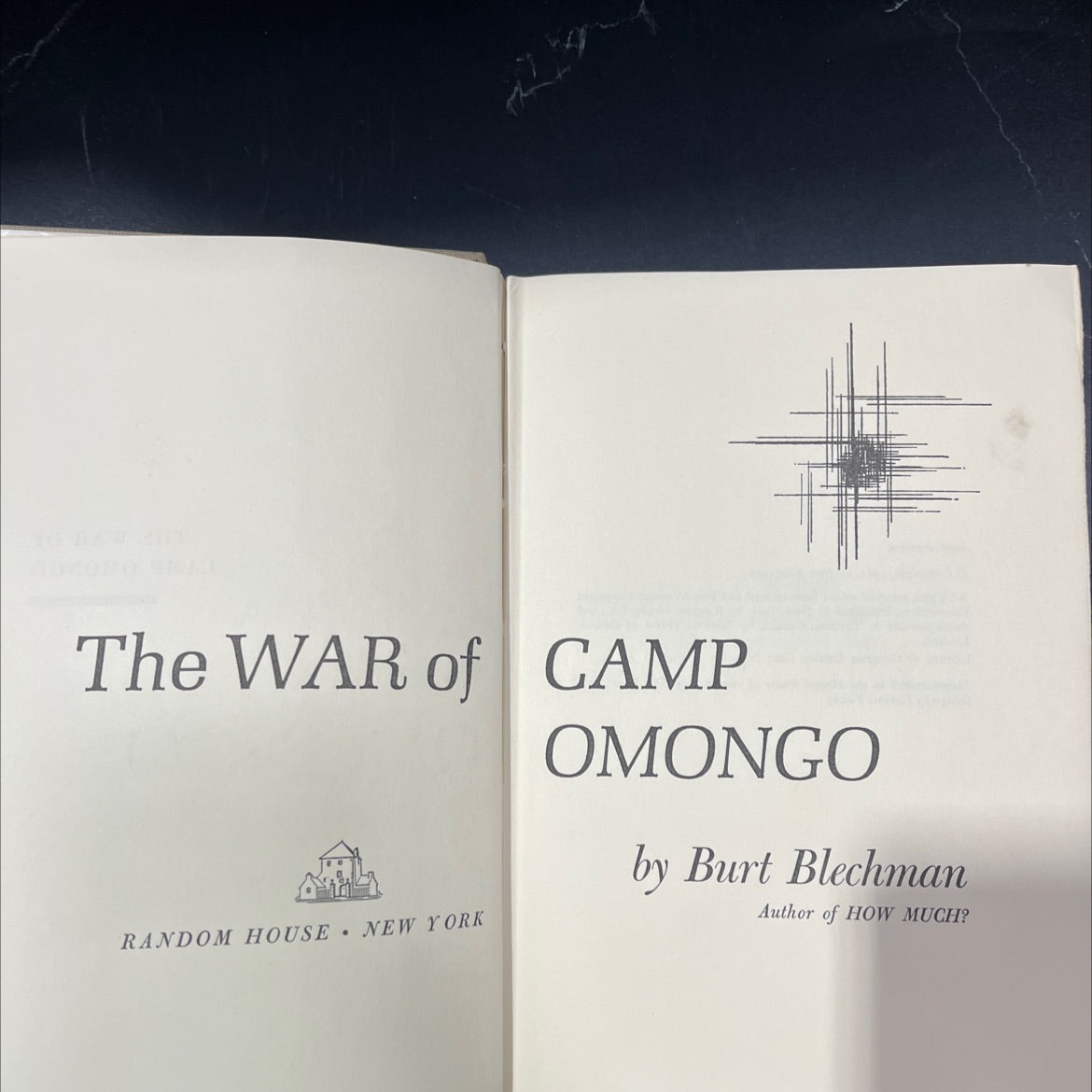 the war of camp random book, by Burt Blechman, 1963 Hardcover image 2