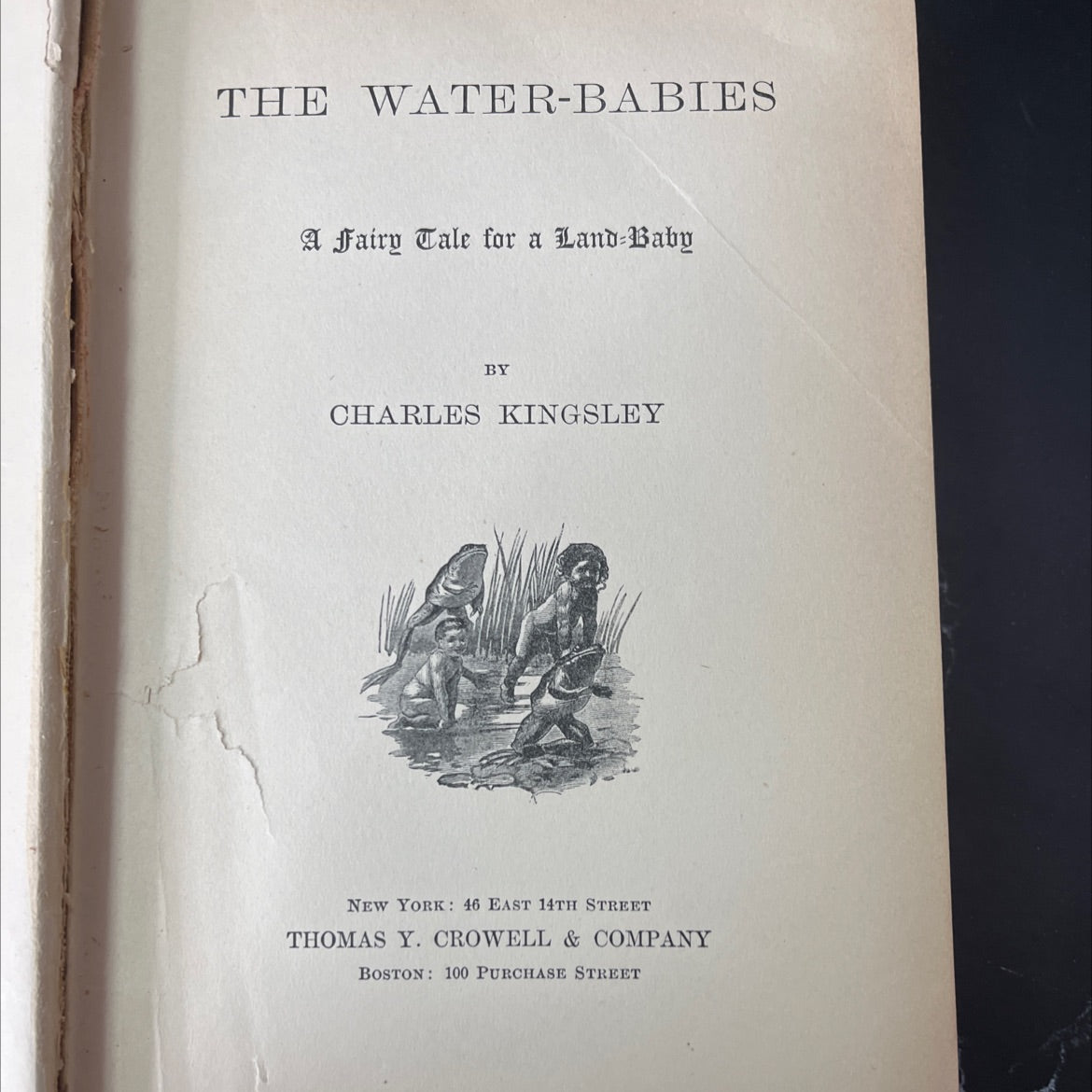 the water-babies a fairy tale for a land-baby book, by charles kingsley, 1895 Hardcover, Antique image 2
