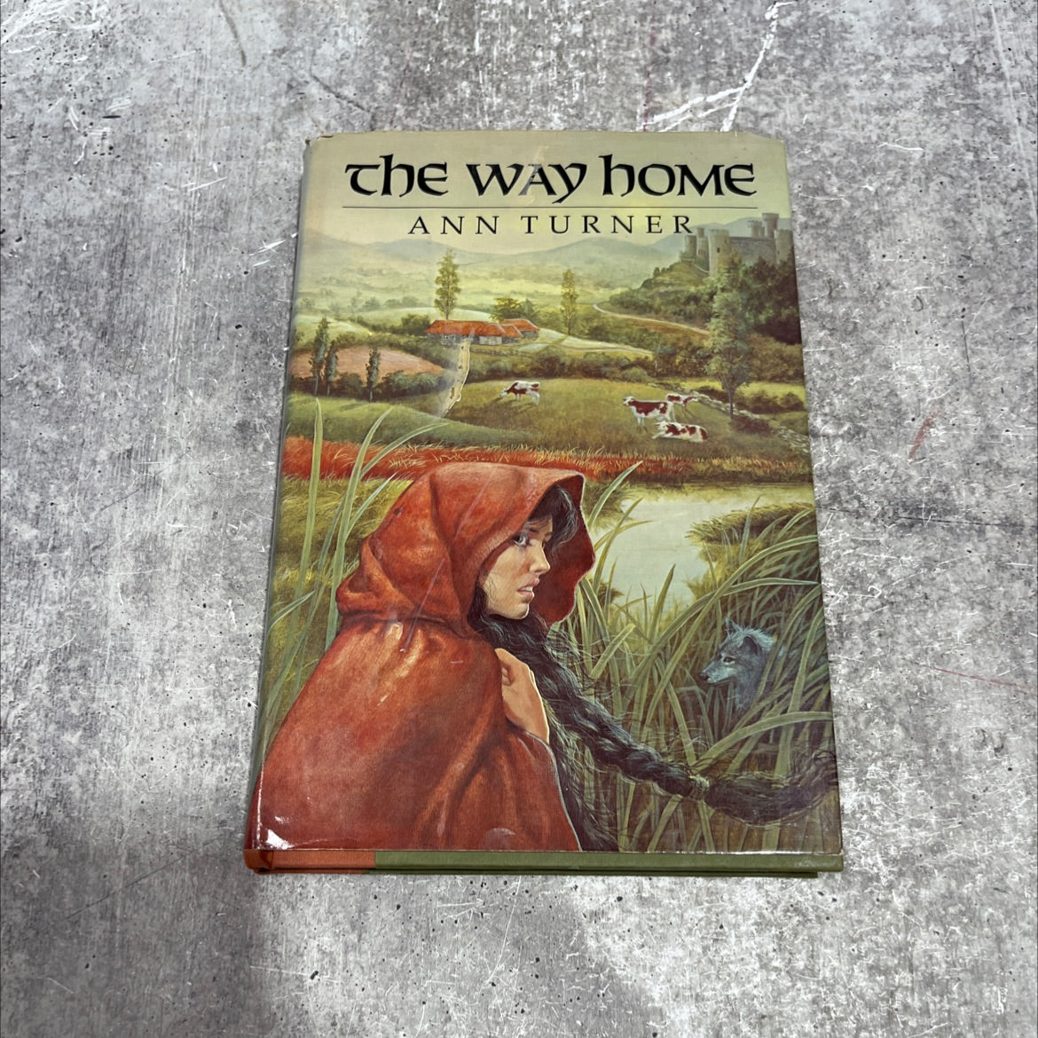 the way home book, by ann turner, 1982 Hardcover image 1