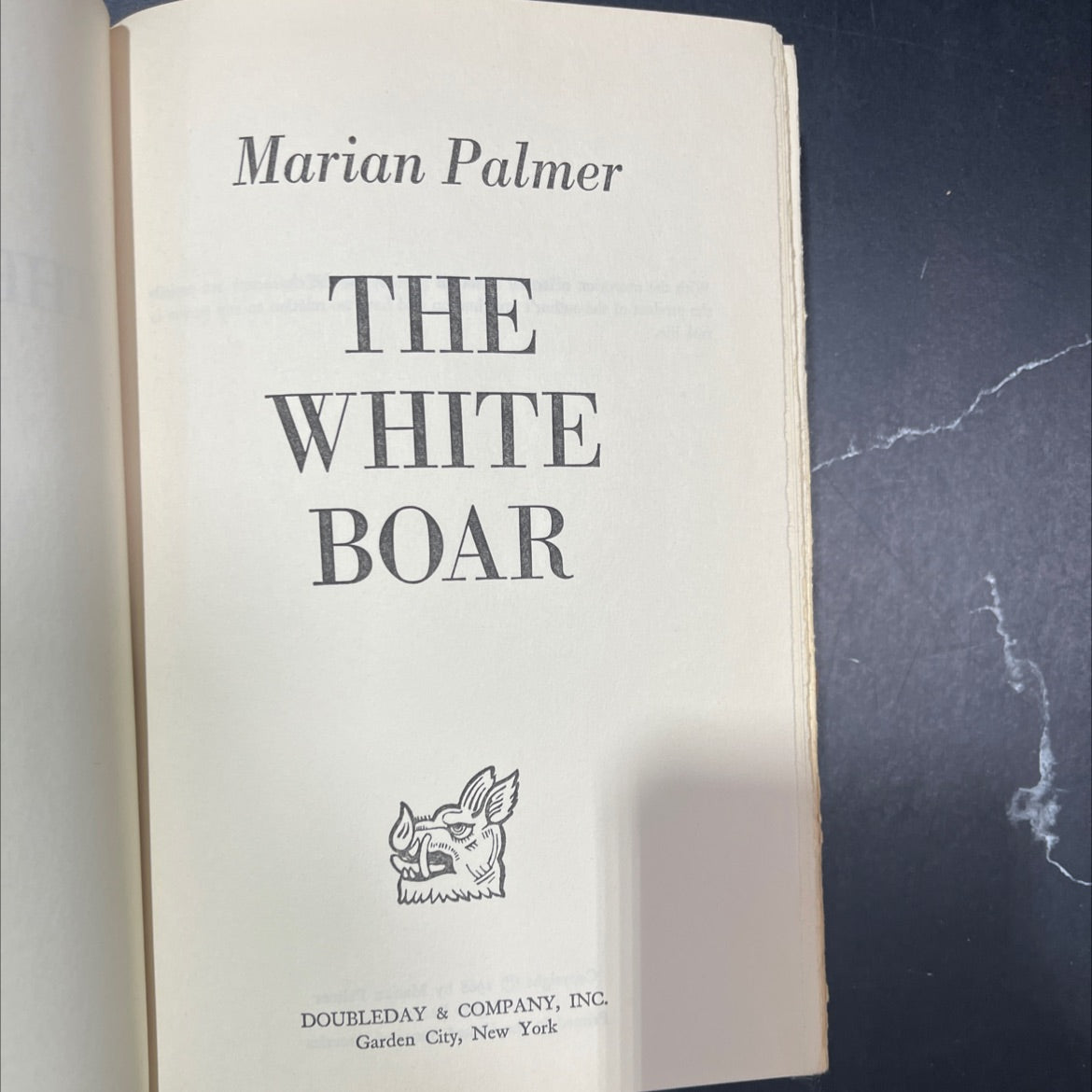 the white boar book, by Marian Palmer, 1968 Hardcover image 2