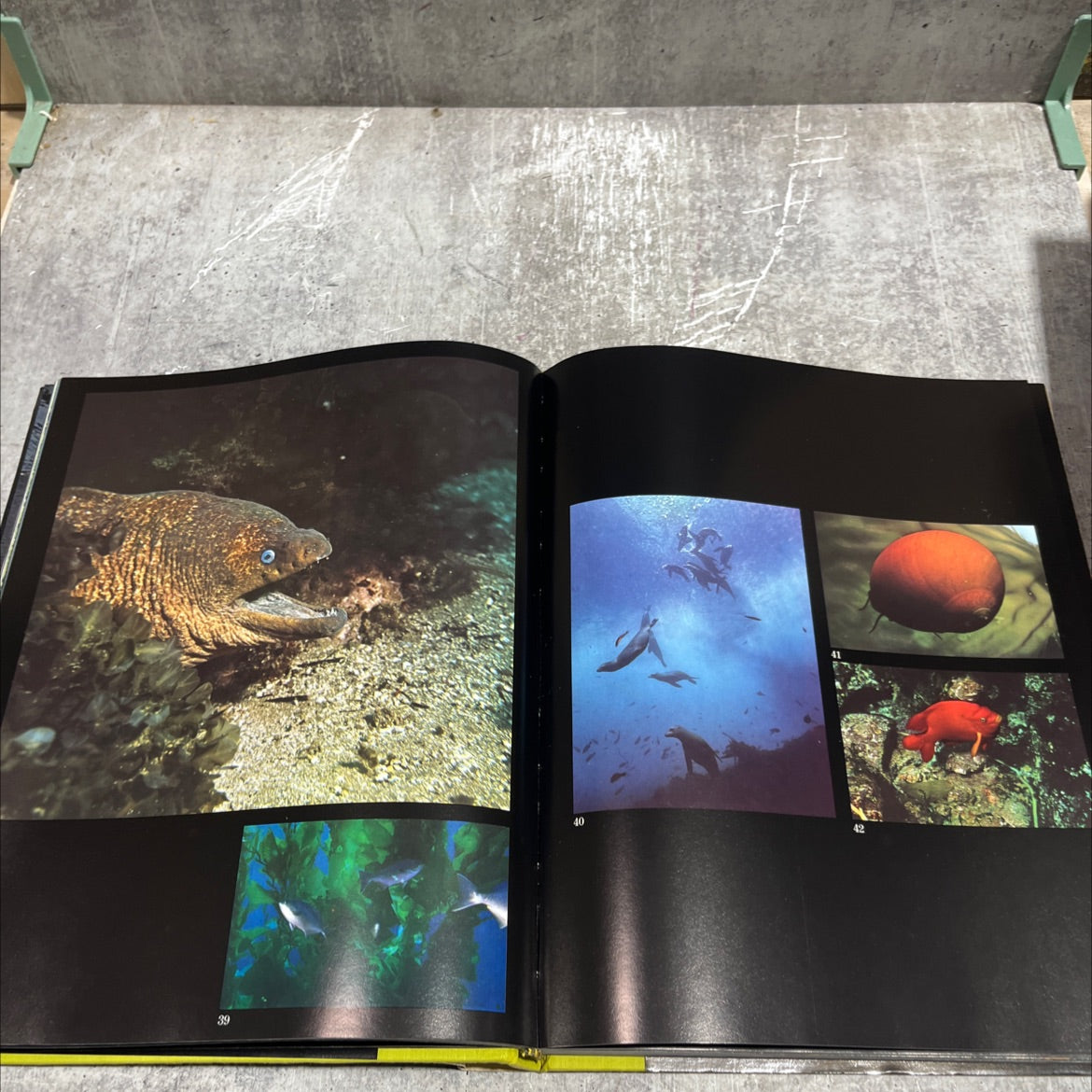 the wild places: a photographic celebration of unspoiled america book, by Milton Rugoff, Ann Guilfoyle, 1973 Hardcover image 4