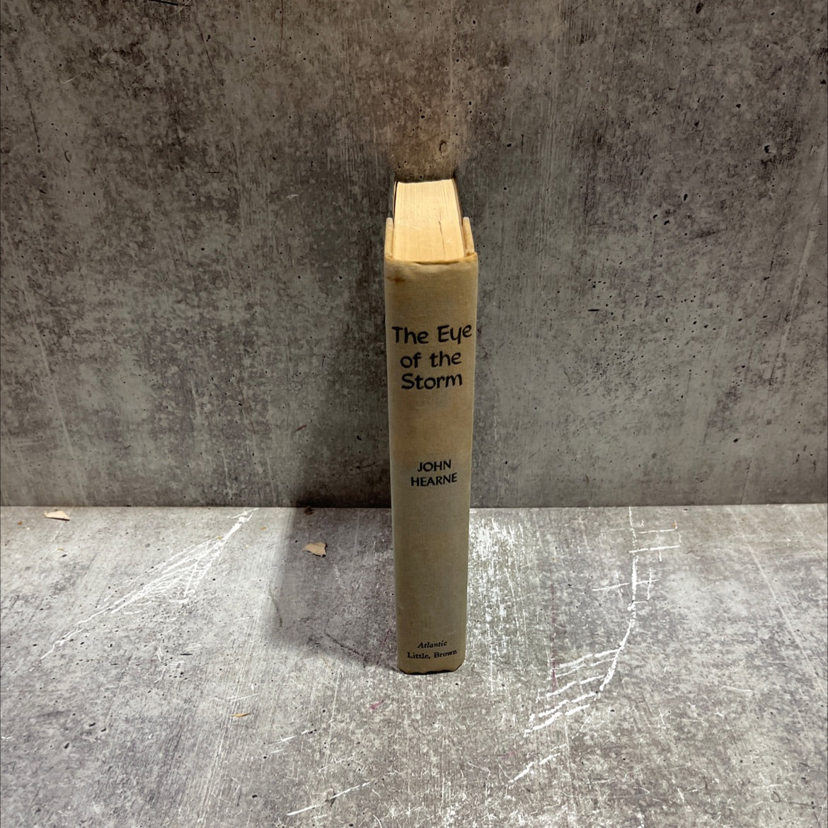 the window the gate the storm eye the of the storm book, by john hearne, 1957 Hardcover image 4