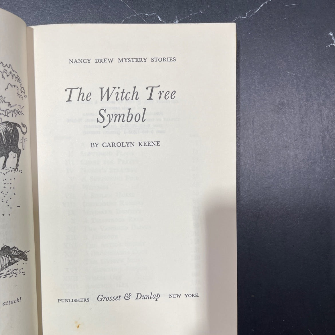 the witch tree symbol book, by carolyn keene, 1975 Hardcover image 2