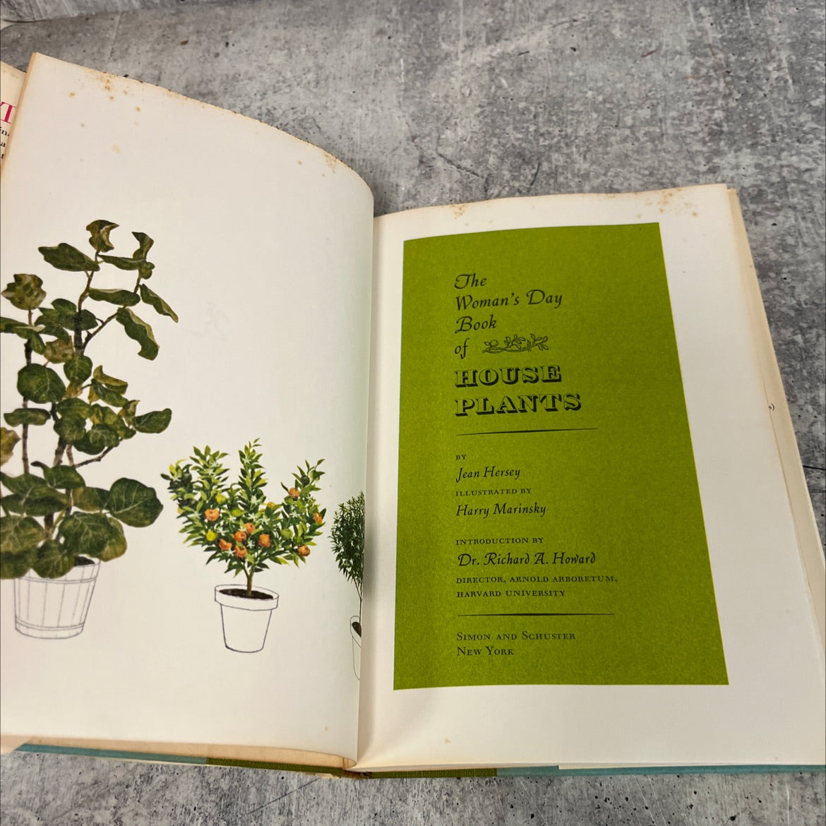 the woman's day book of house plants book, by jean hersey, 1965 Hardcover image 2