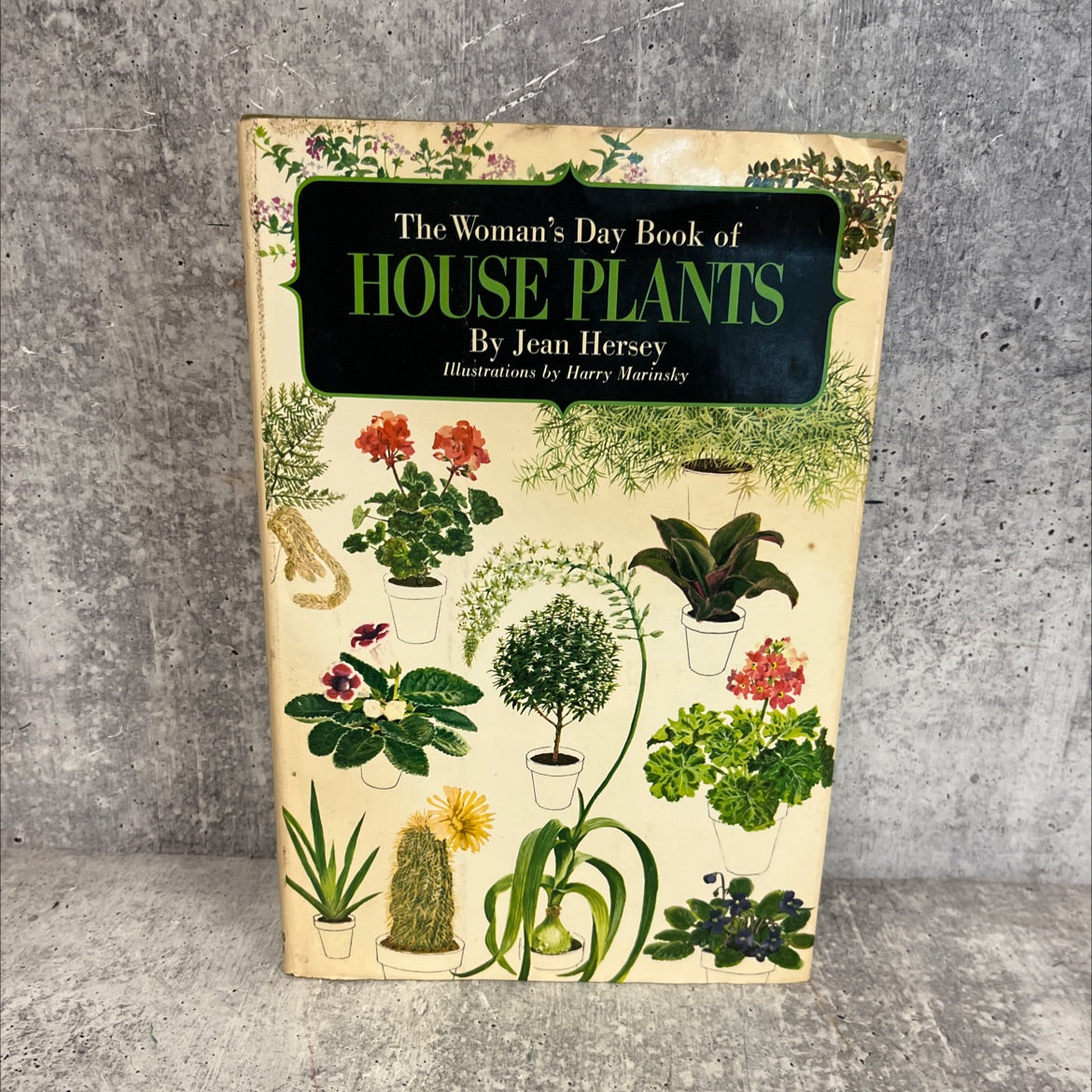 the woman's day book of house plants book, by jean hersey, 1965 Hardcover image 1