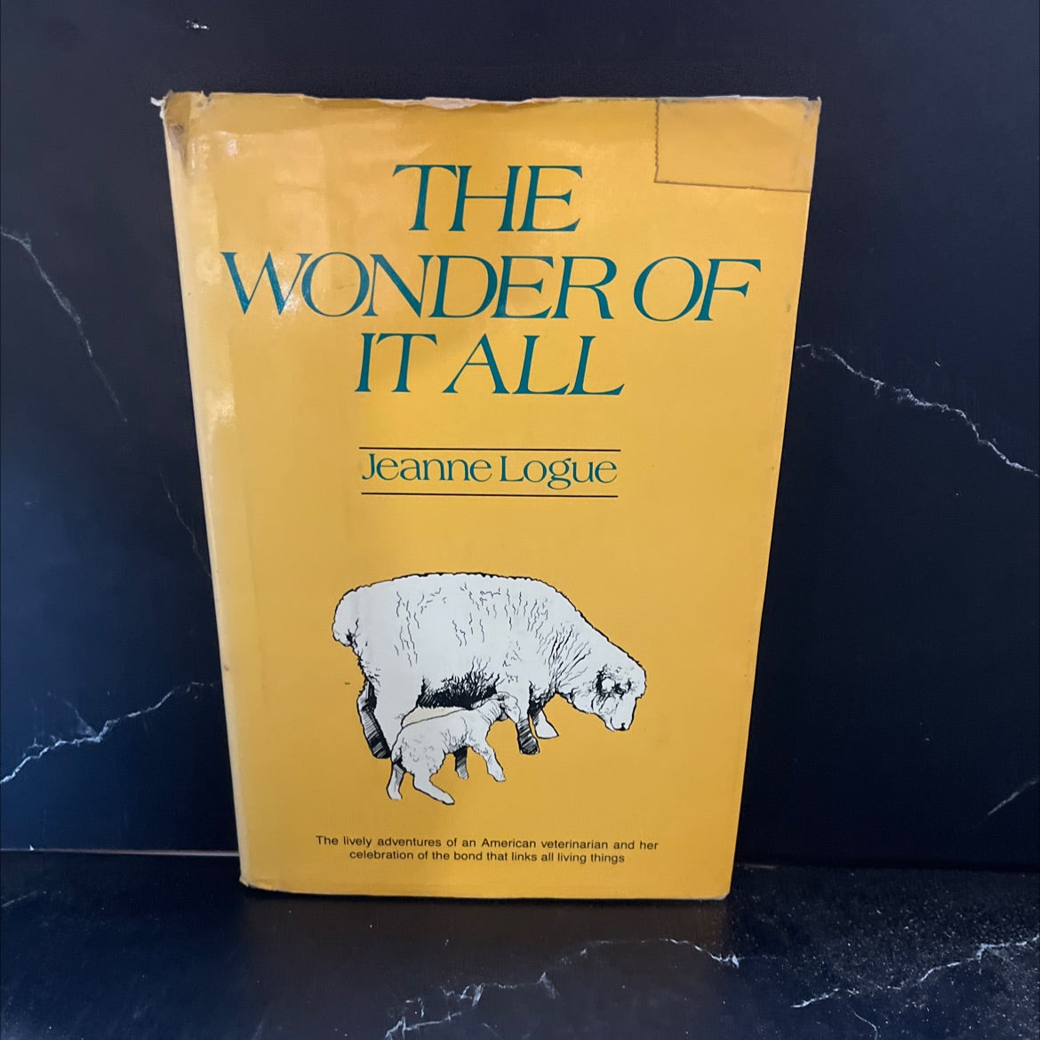 the wonder of it all book, by Jeanne Logue, 1979 Hardcover image 1