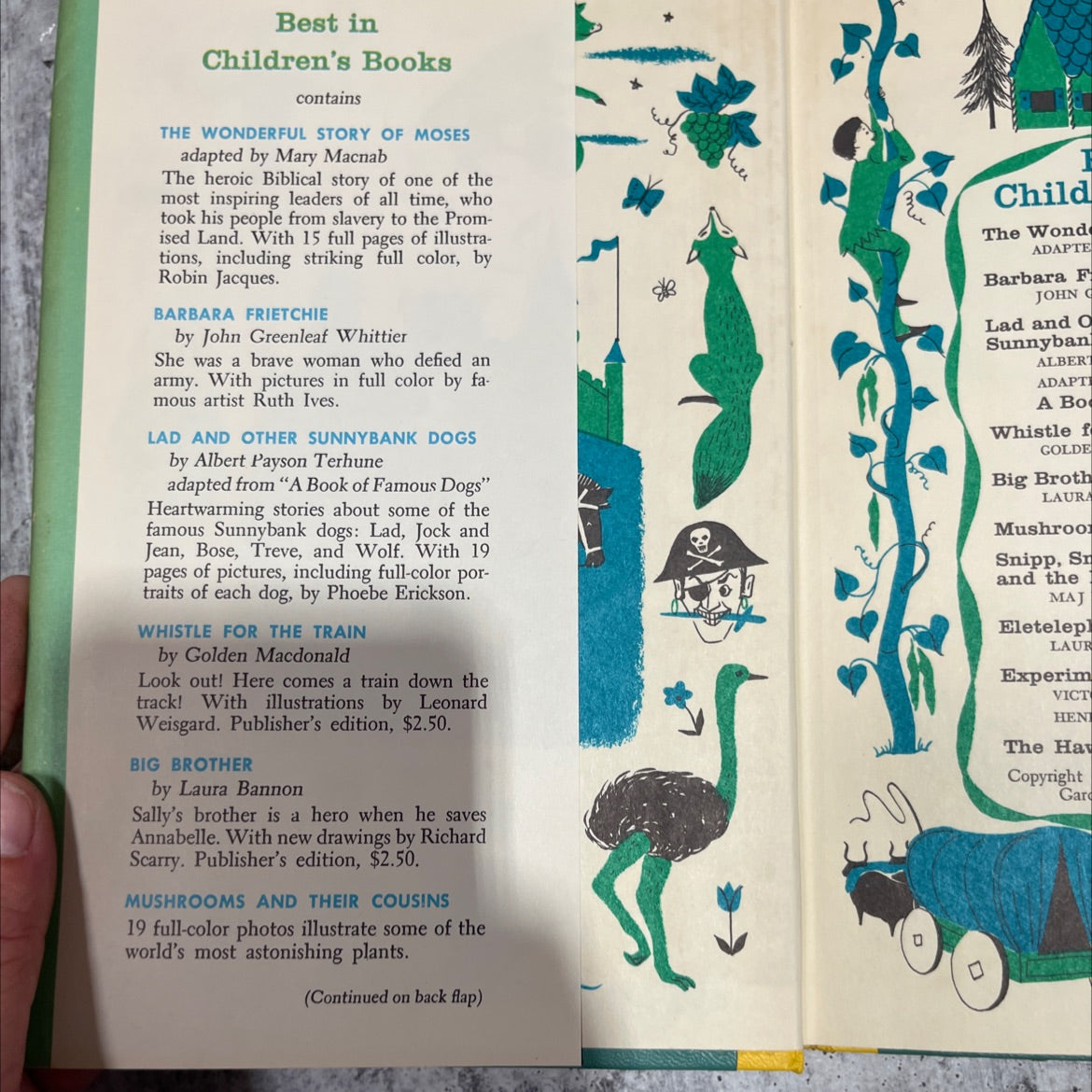 the wonderful story of moses book, by mary macnab, 1959 Hardcover image 3