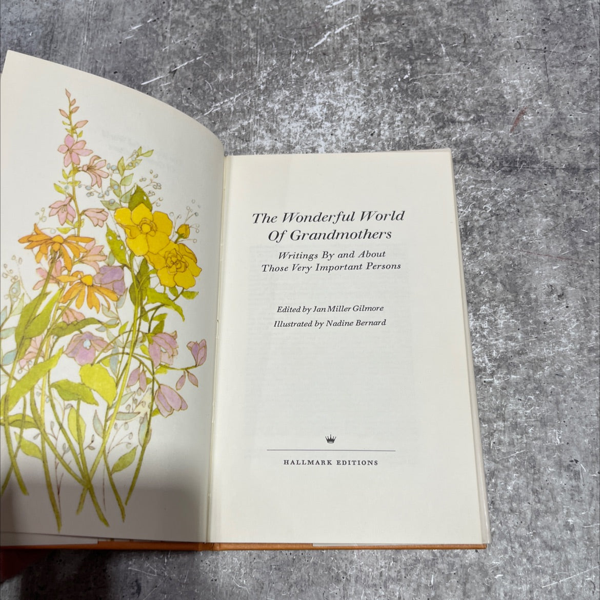 the wonderful world of grandmothers book, by jan miller gilmore, 1970 Hardcover image 2
