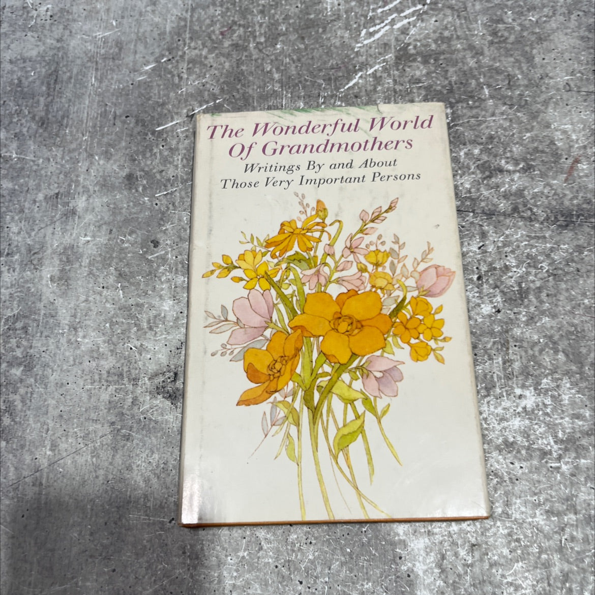the wonderful world of grandmothers book, by jan miller gilmore, 1970 Hardcover image 1