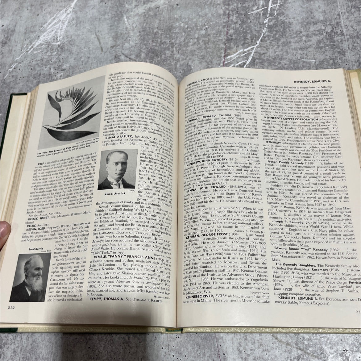 洋書 the book of E 洋書 the book of E Amazon.com: The Book of Enoch: Complete