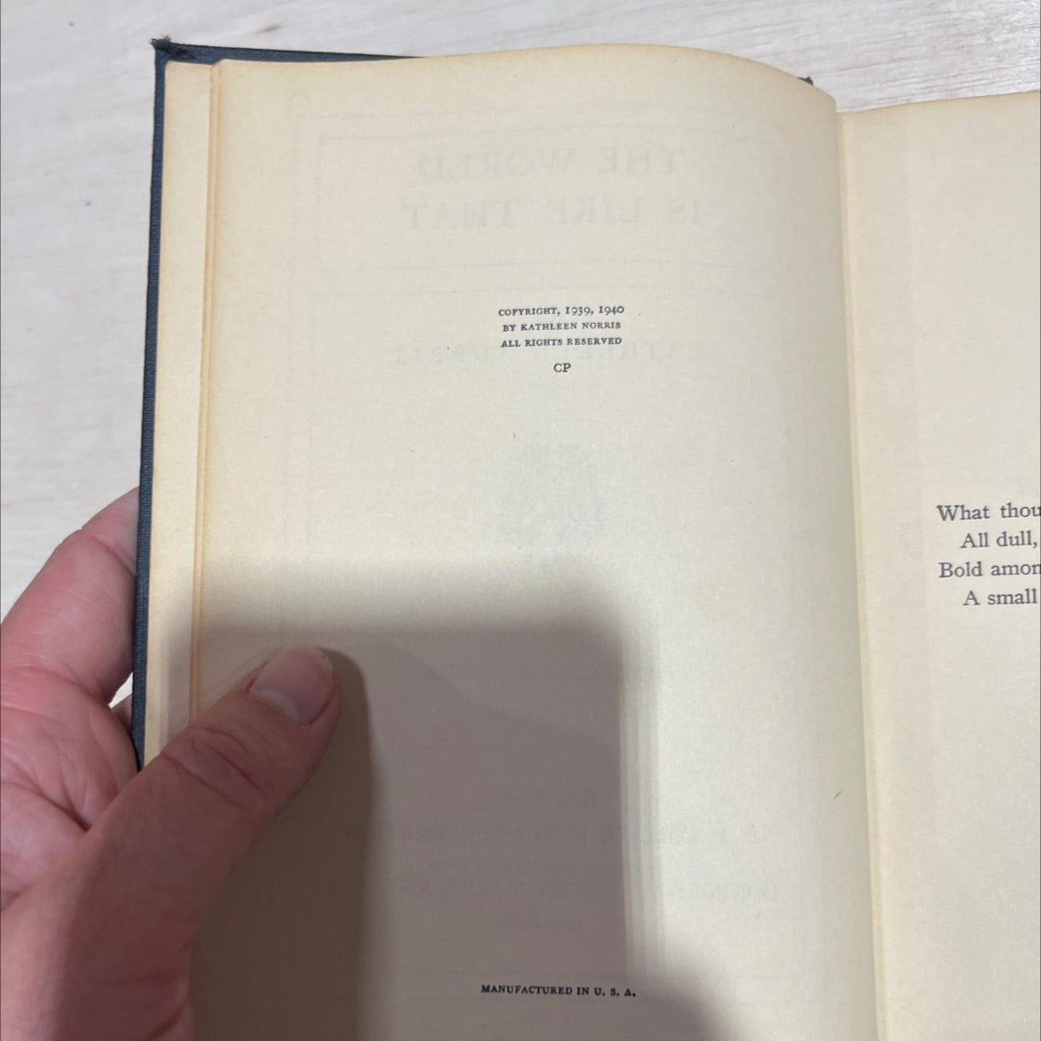 the world is like that book, by kathleen norris, 1940 Hardcover image 3