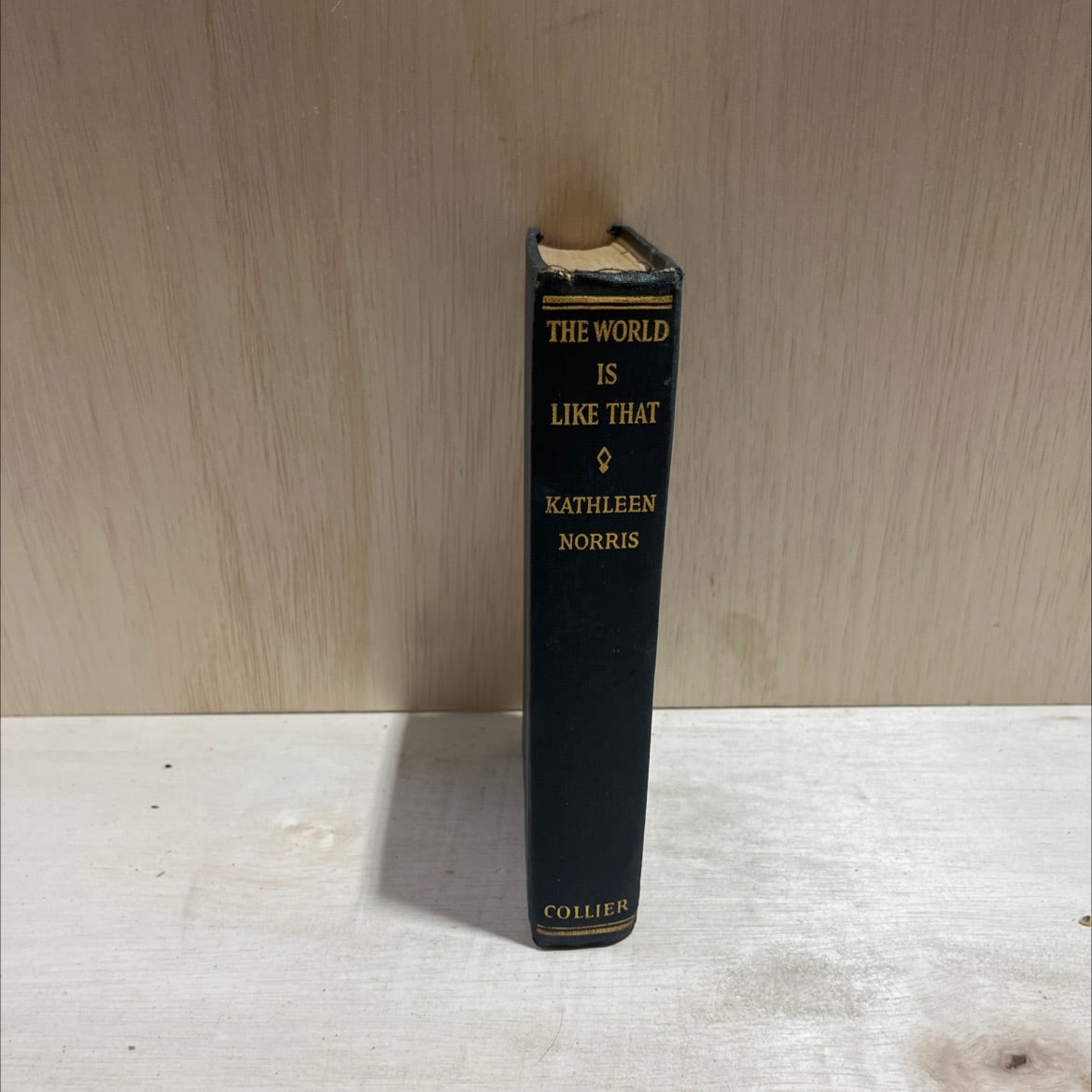the world is like that book, by kathleen norris, 1940 Hardcover image 4