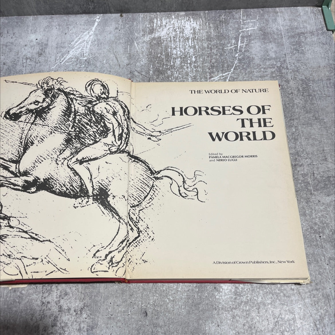 the world of nature horses of the world book, by pamela macgregor morris, nereo lugli, 1973 Hardcover image 2