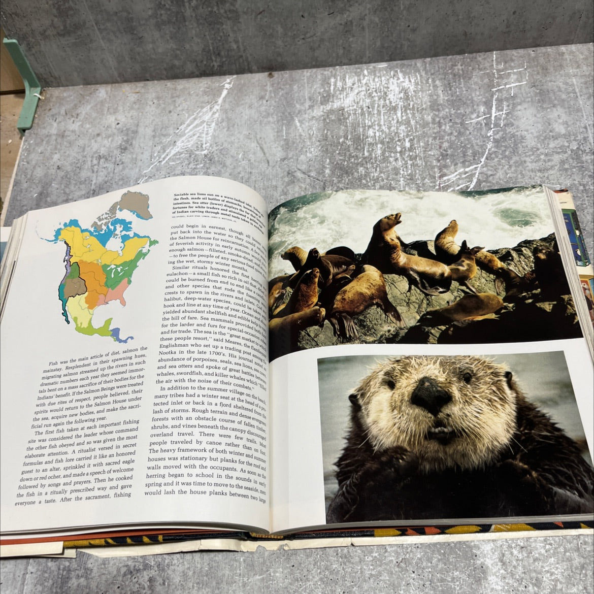 the world of the american indian book, by national geographic society, 1974 Hardcover image 4