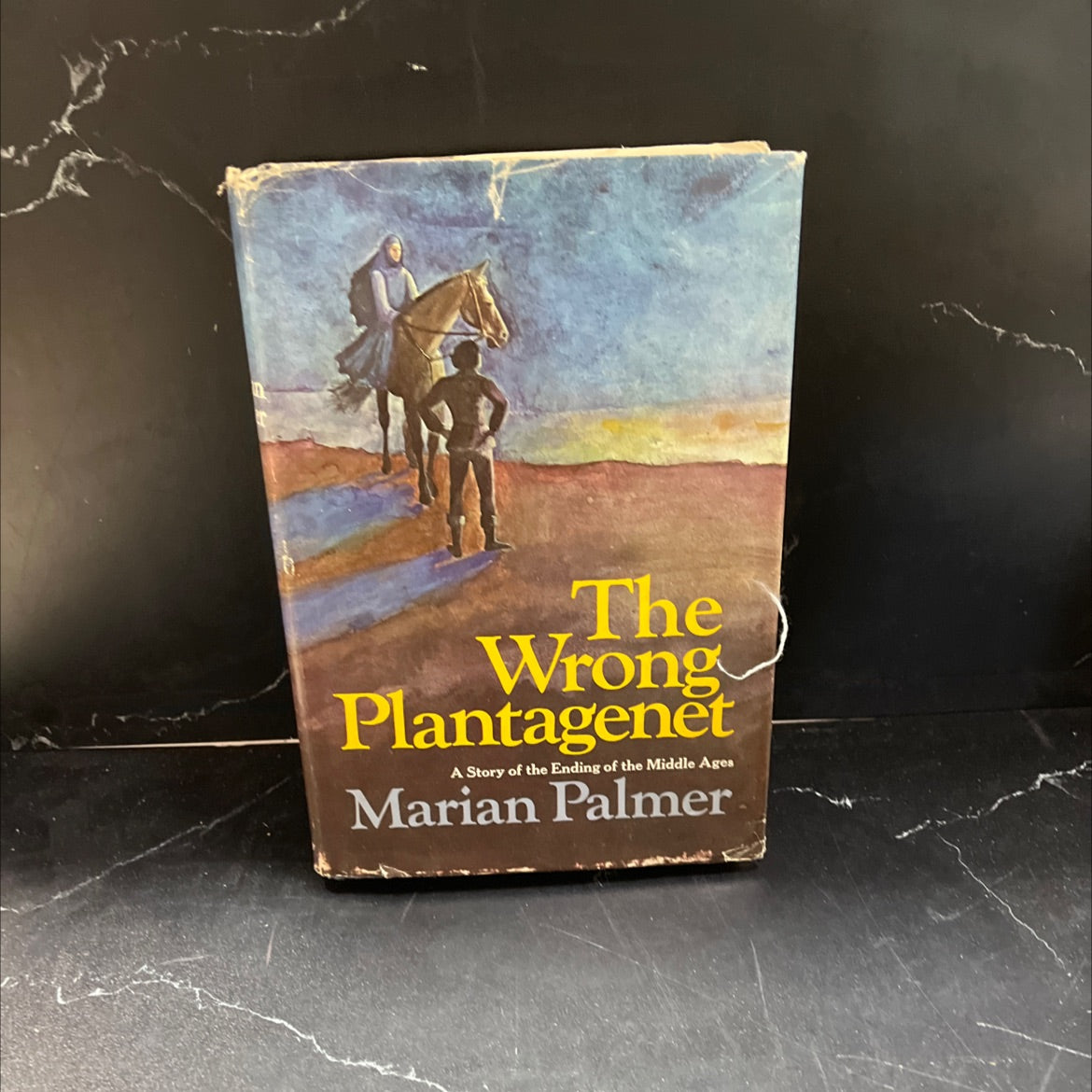 the wrong plantagenet book, by Marian Palmer, 1972 Hardcover, First Edition, Vintage image 1