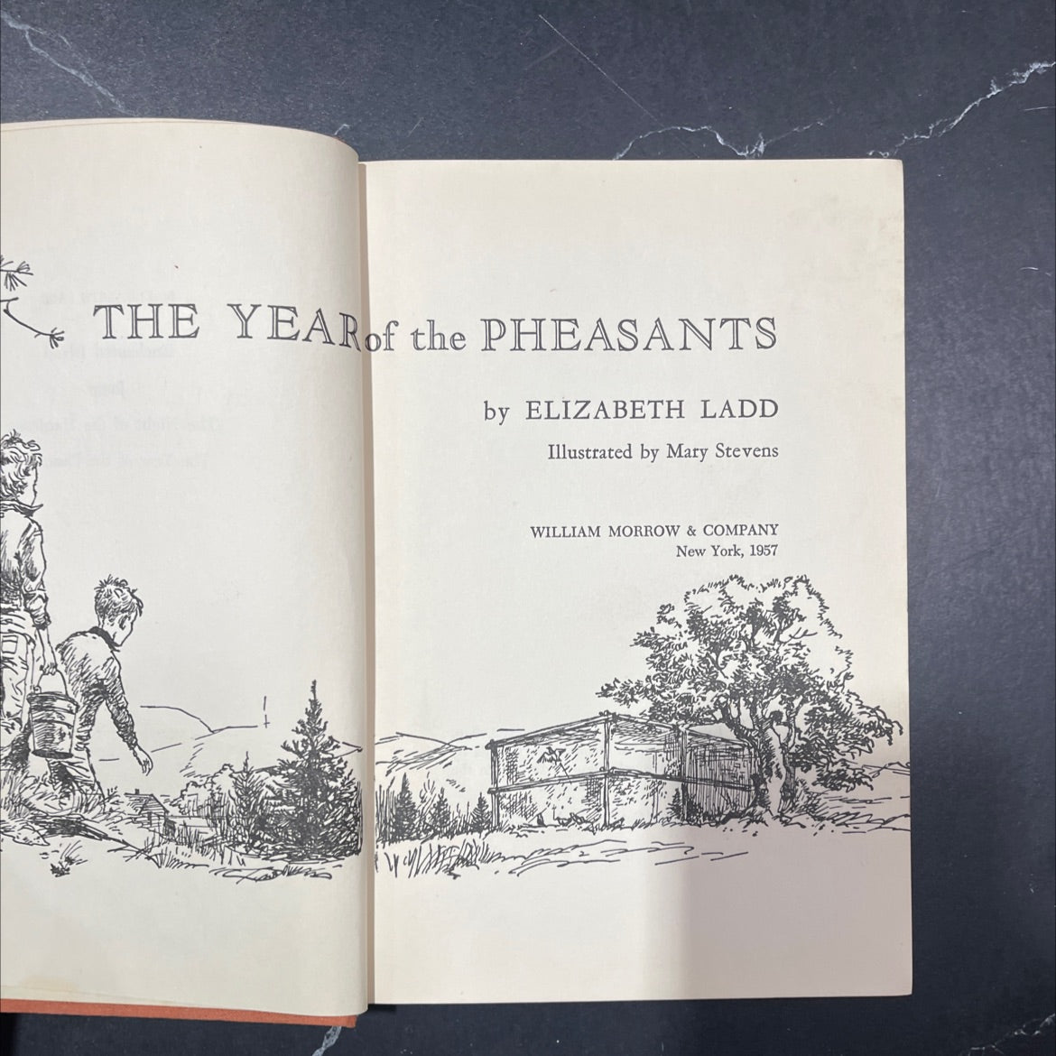 the year of the pheasants book, by elizabeth ladd, 1957 Hardcover image 2