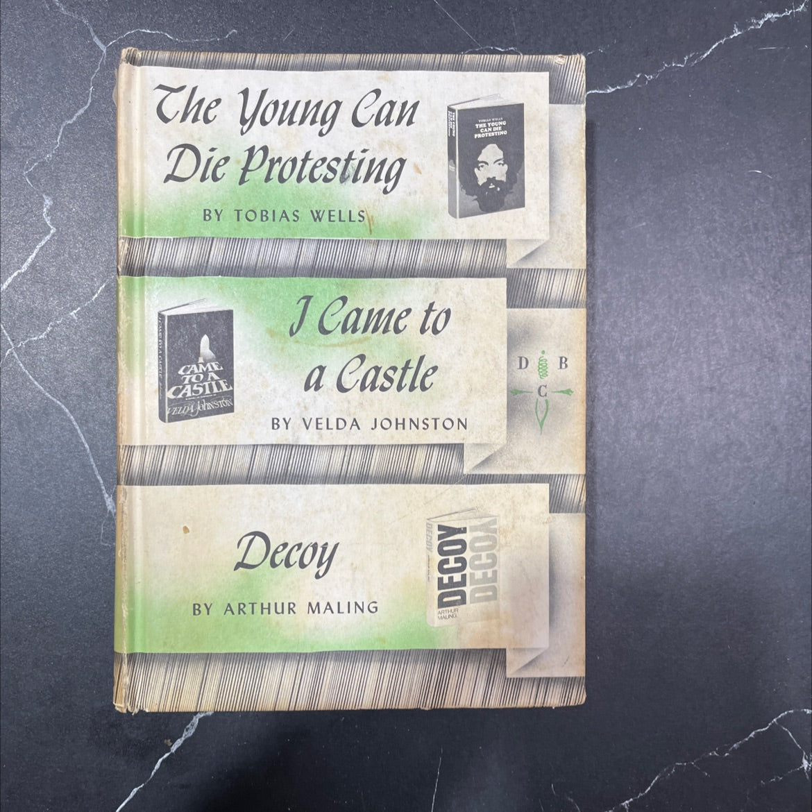the young can die protesting book, by tobias wells, 1969 Hardcover image 1