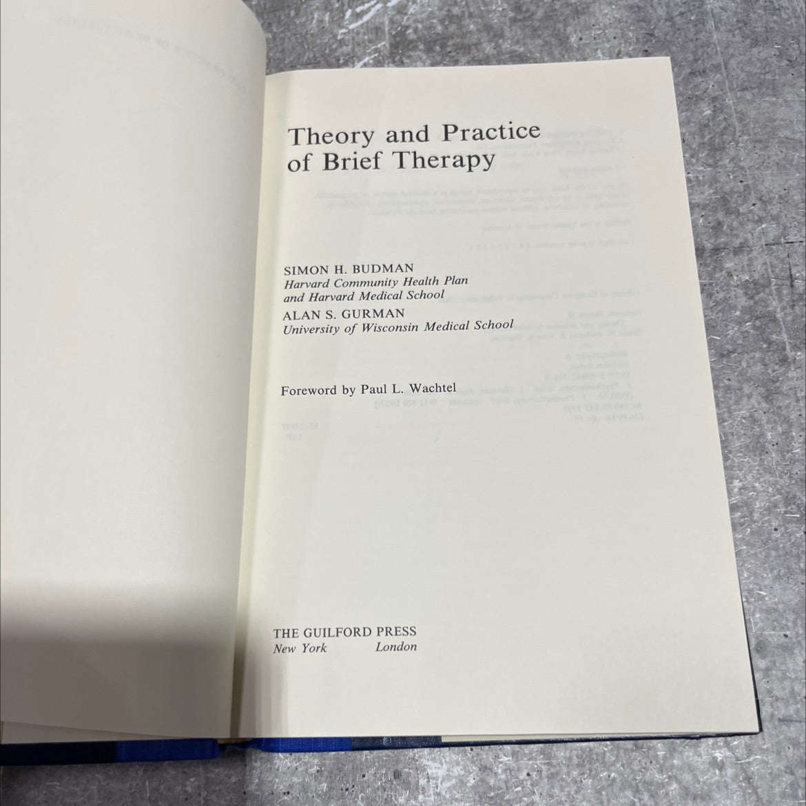 theory and practice of brief therapy book, by Simon H. Budman, Alan S. Gurman, 1988 Hardcover image 2
