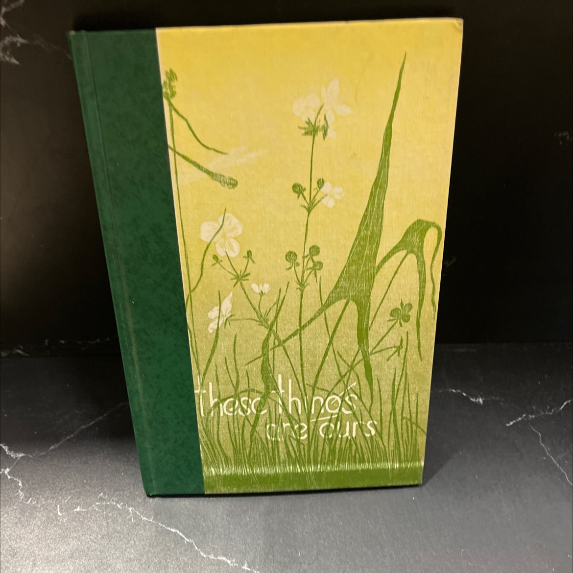 these things are ours guen book, by frostre, 1960 Hardcover image 1