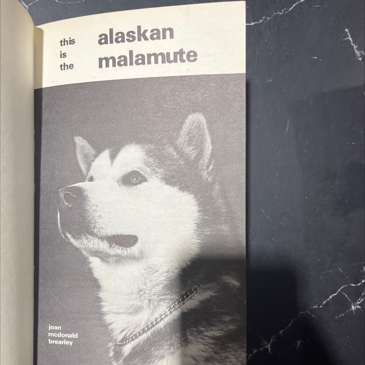 this alaskan is the malamute book, by joan mcdonald brearley, 1975 Hardcover image 2