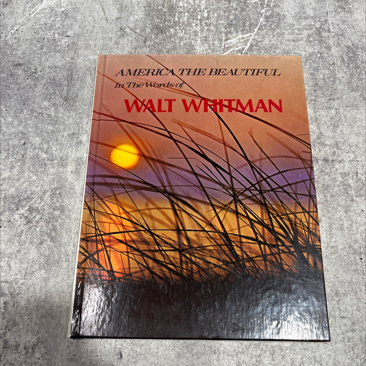 this beautiful land book, by editors of country beautiful, 1978 Hardcover image 1